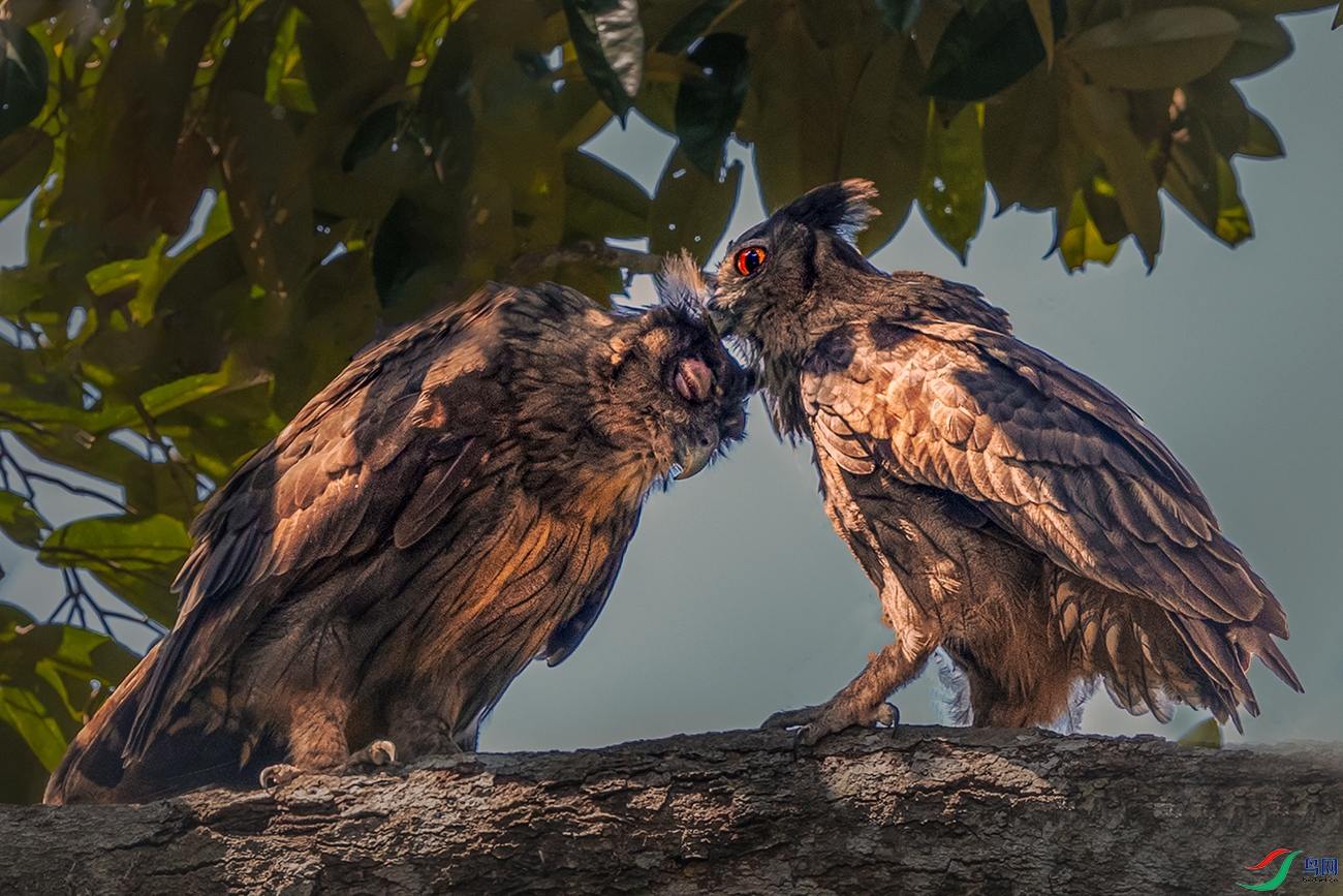 �ڵ��^----��������