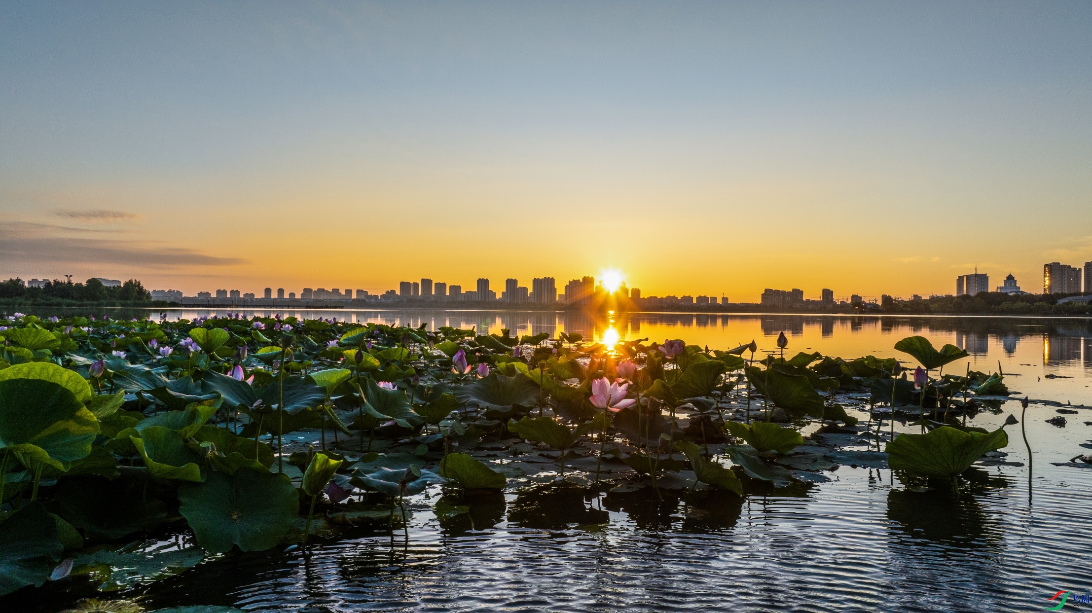 dji_fly_20240730_043504_638_1722286026783_photo ����1.jpg