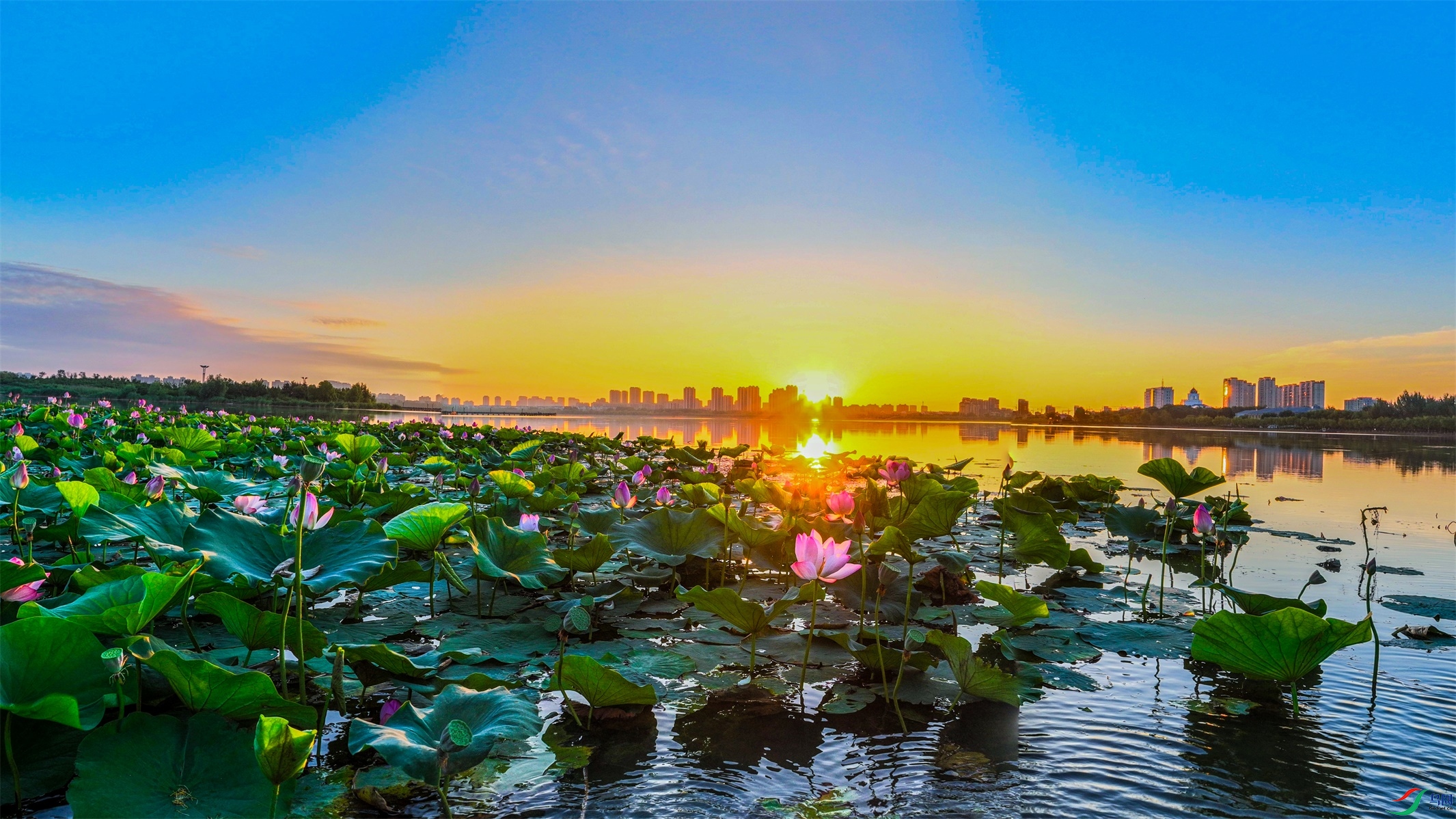 dji_export_20240730_044744_1722286064713_sphere_screenshot ����1.jpg