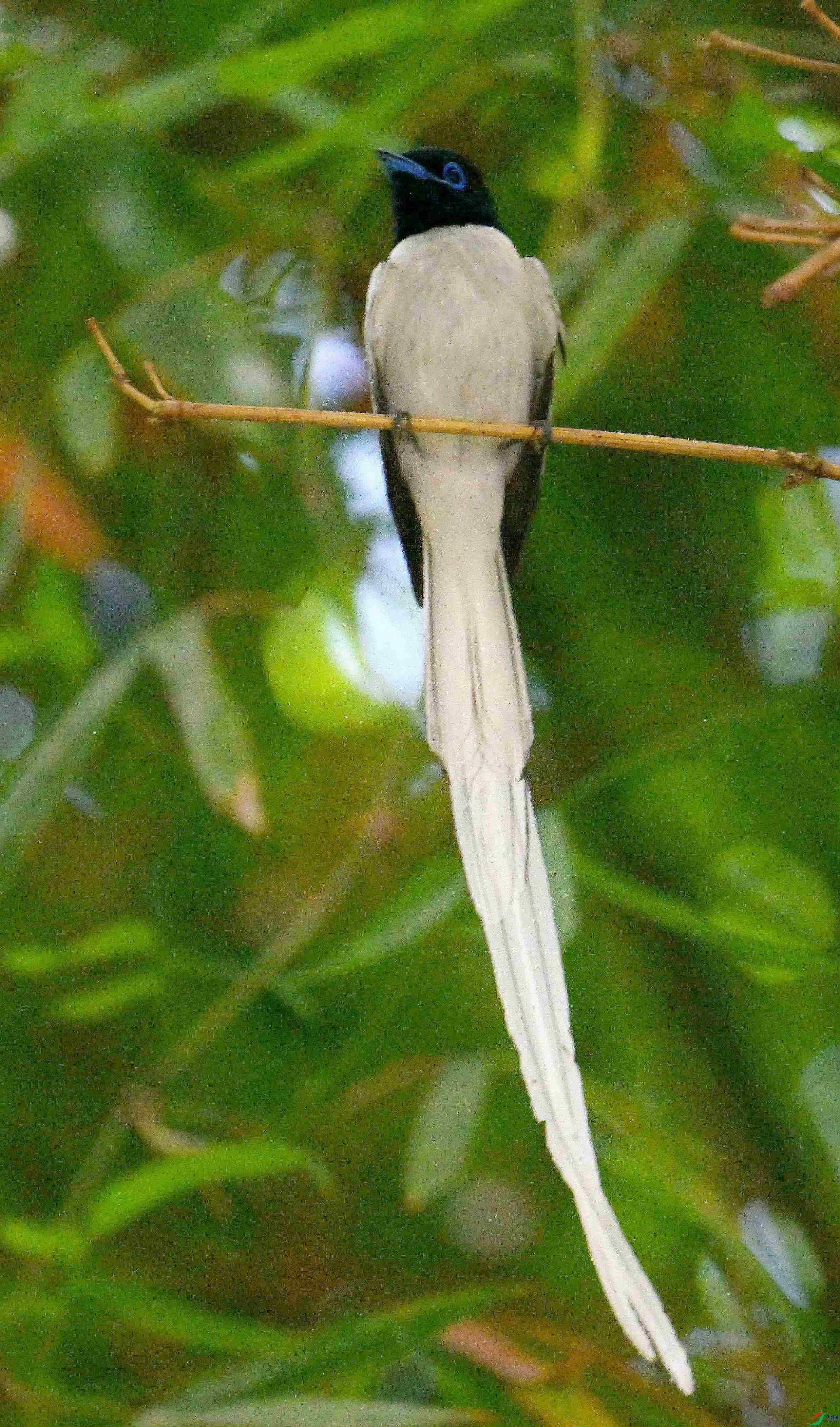 DSC_4743.jpg