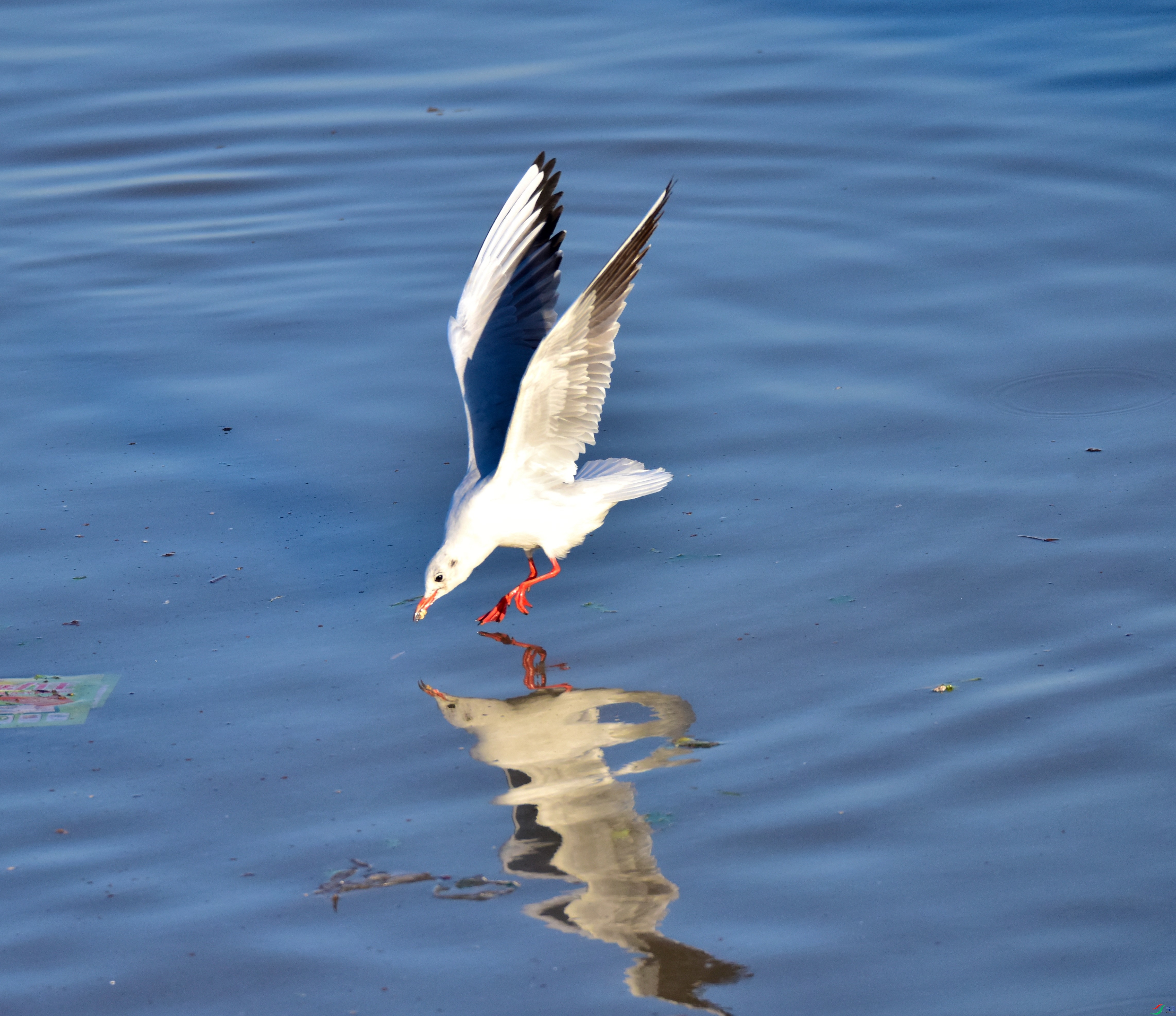 DSC_1853_01.JPG