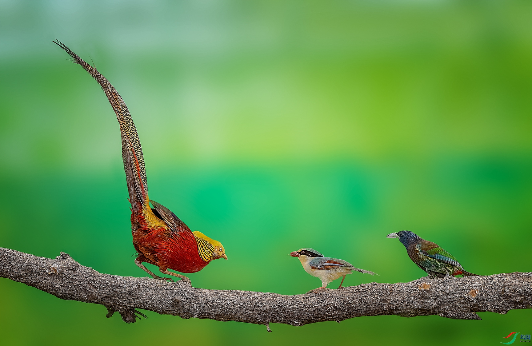 ����к���