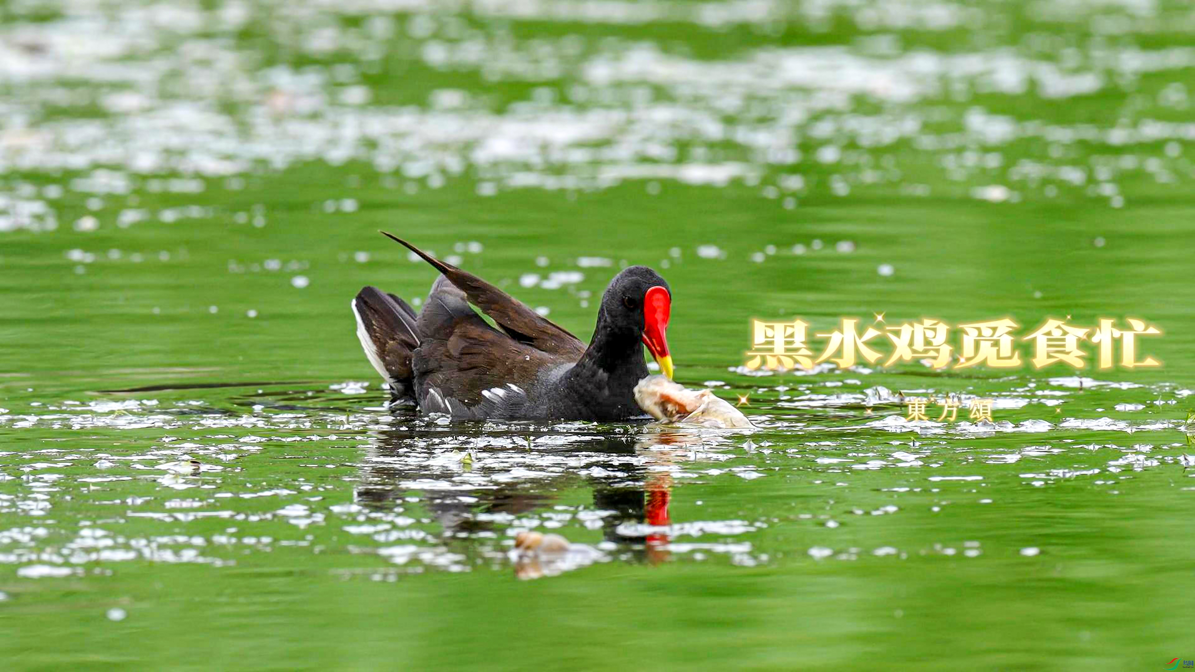 7��28�� (1)(2)-����.jpg