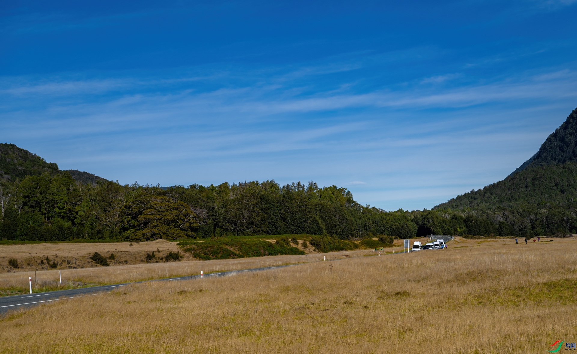 DSC_8022-1.jpg