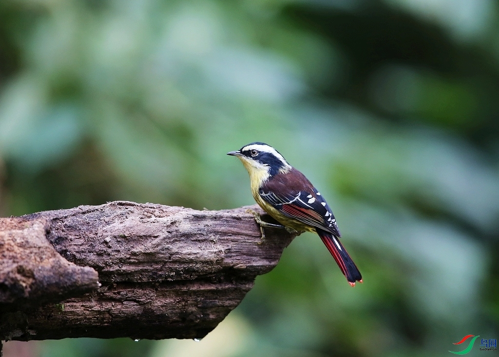 ���� IMGL7173.JPG