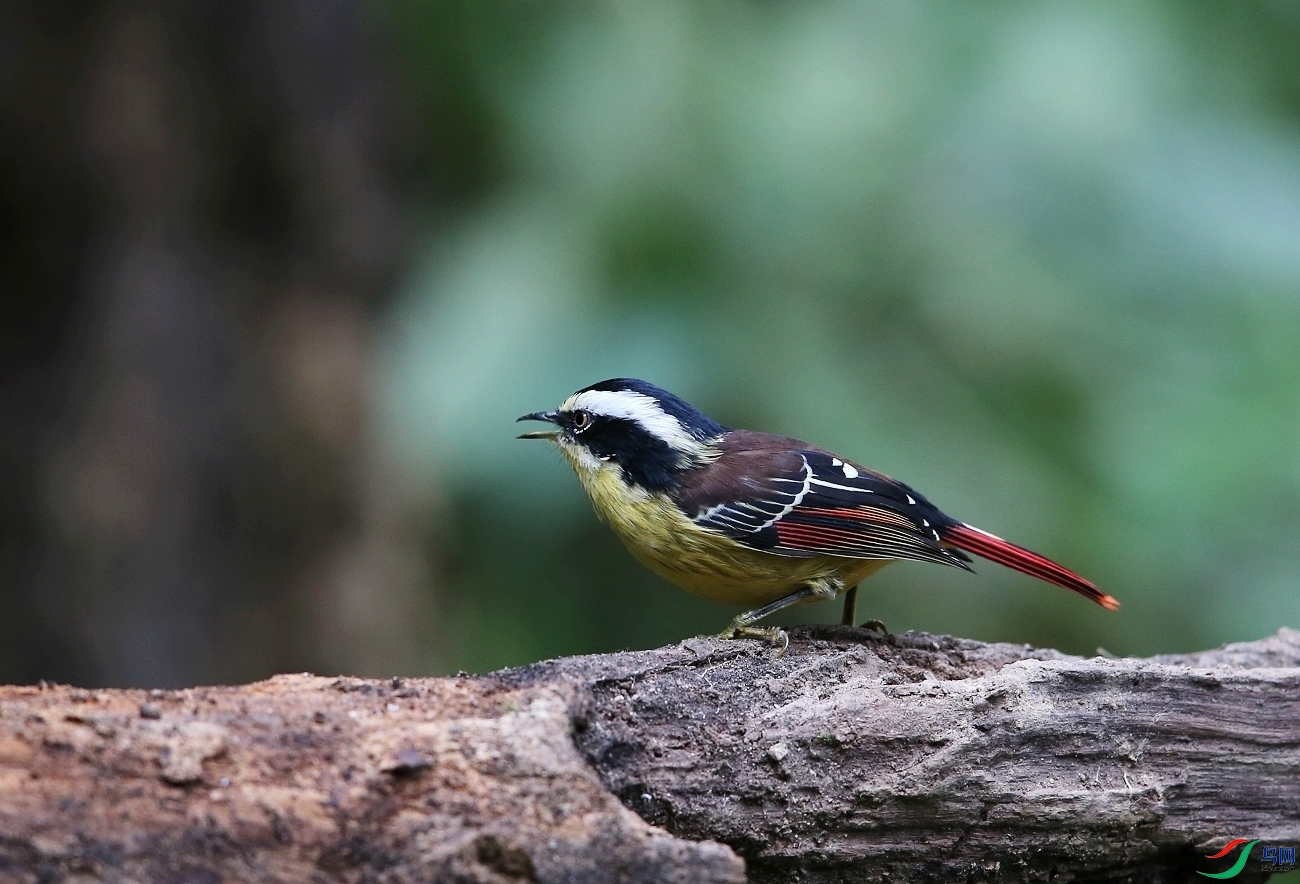 ���� IMGL7191.JPG