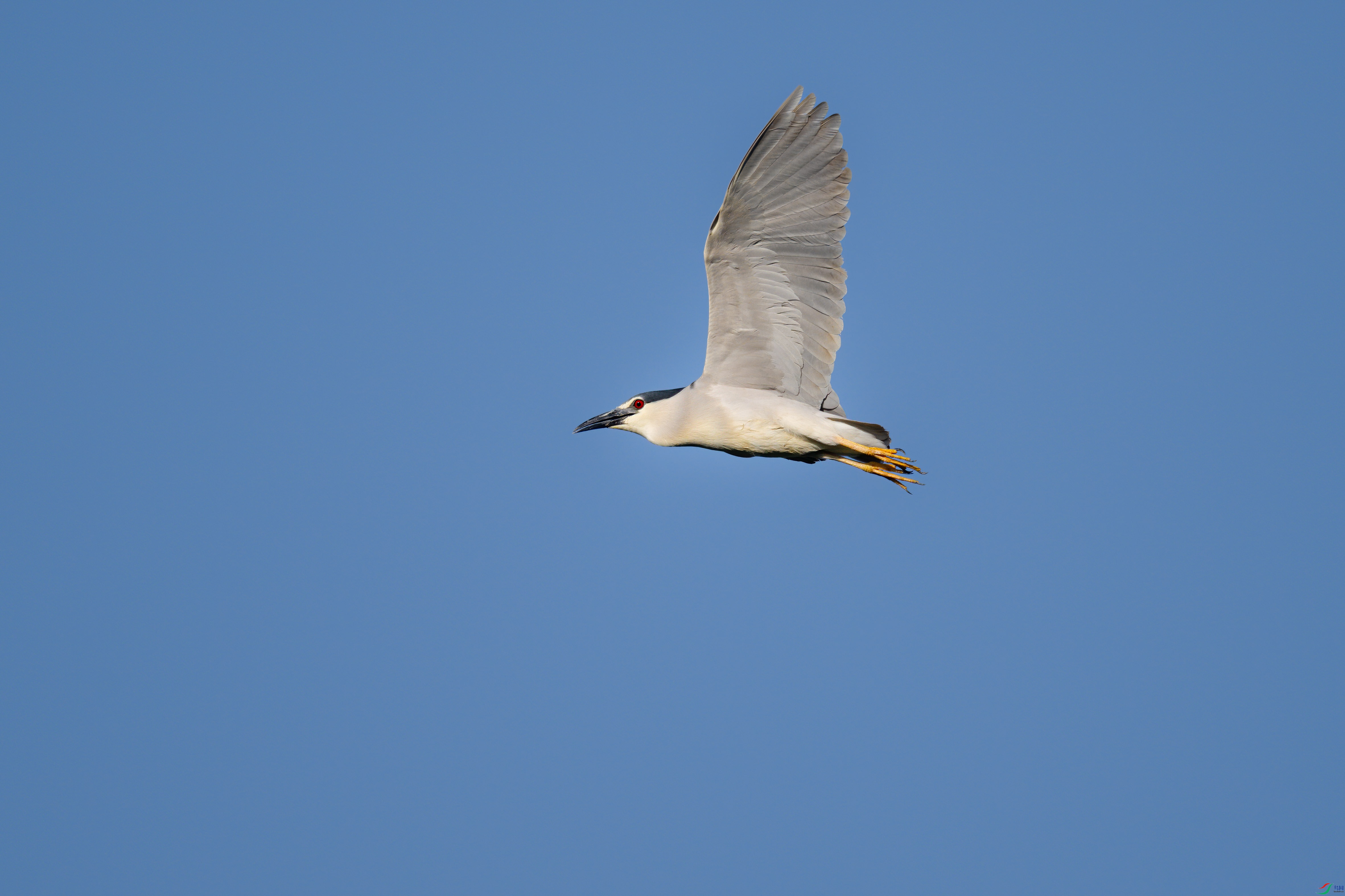 DSC_5007-2sen2024-6-25-035-�༭.jpg