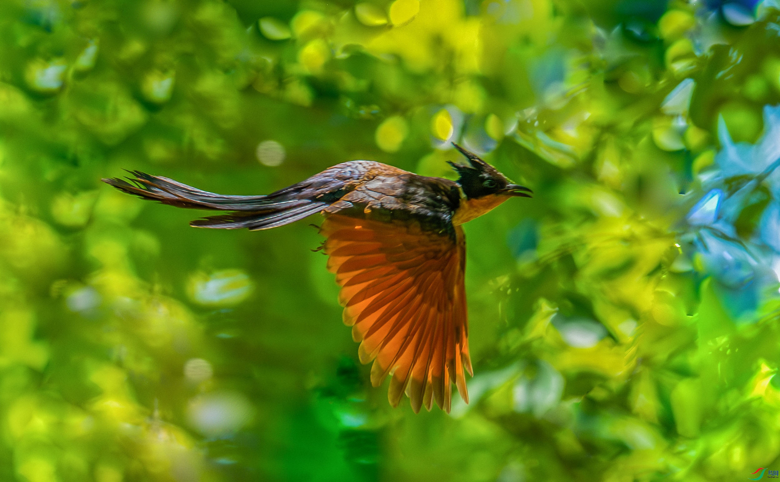 DSC_6355-����ǿ-NR.jpg