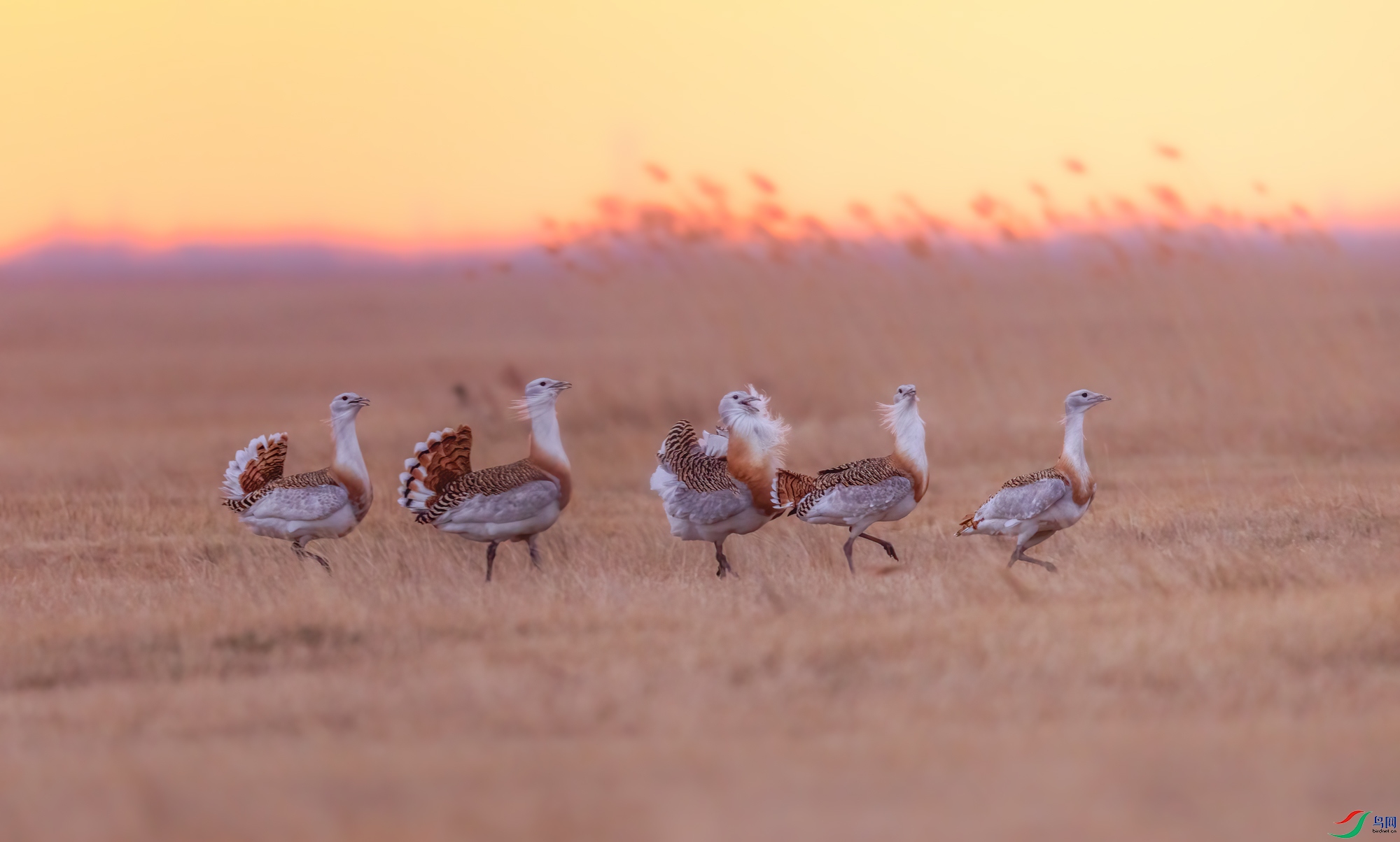 6R9A7017.jpg