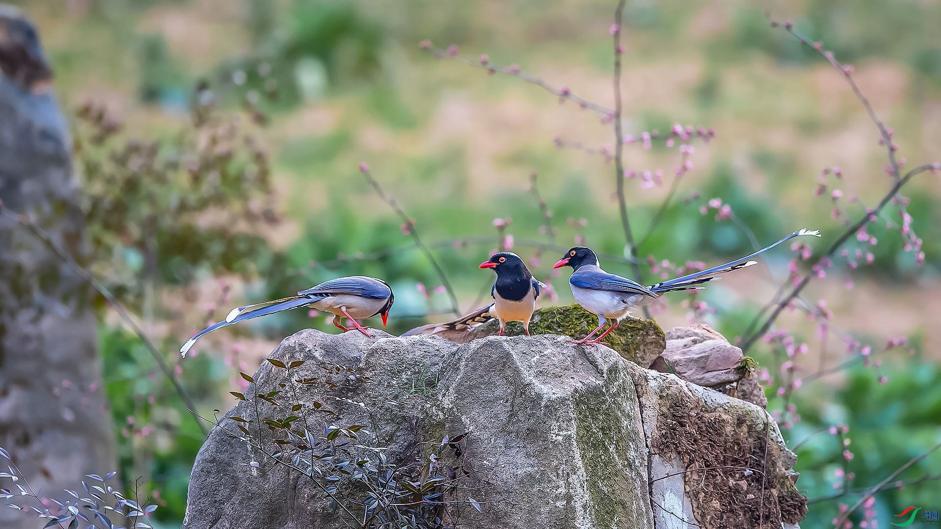 DSC_5741.jpg
