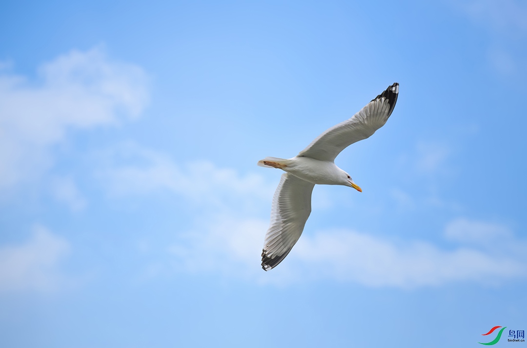 DSC_7757-����ǿ-NR.jpg