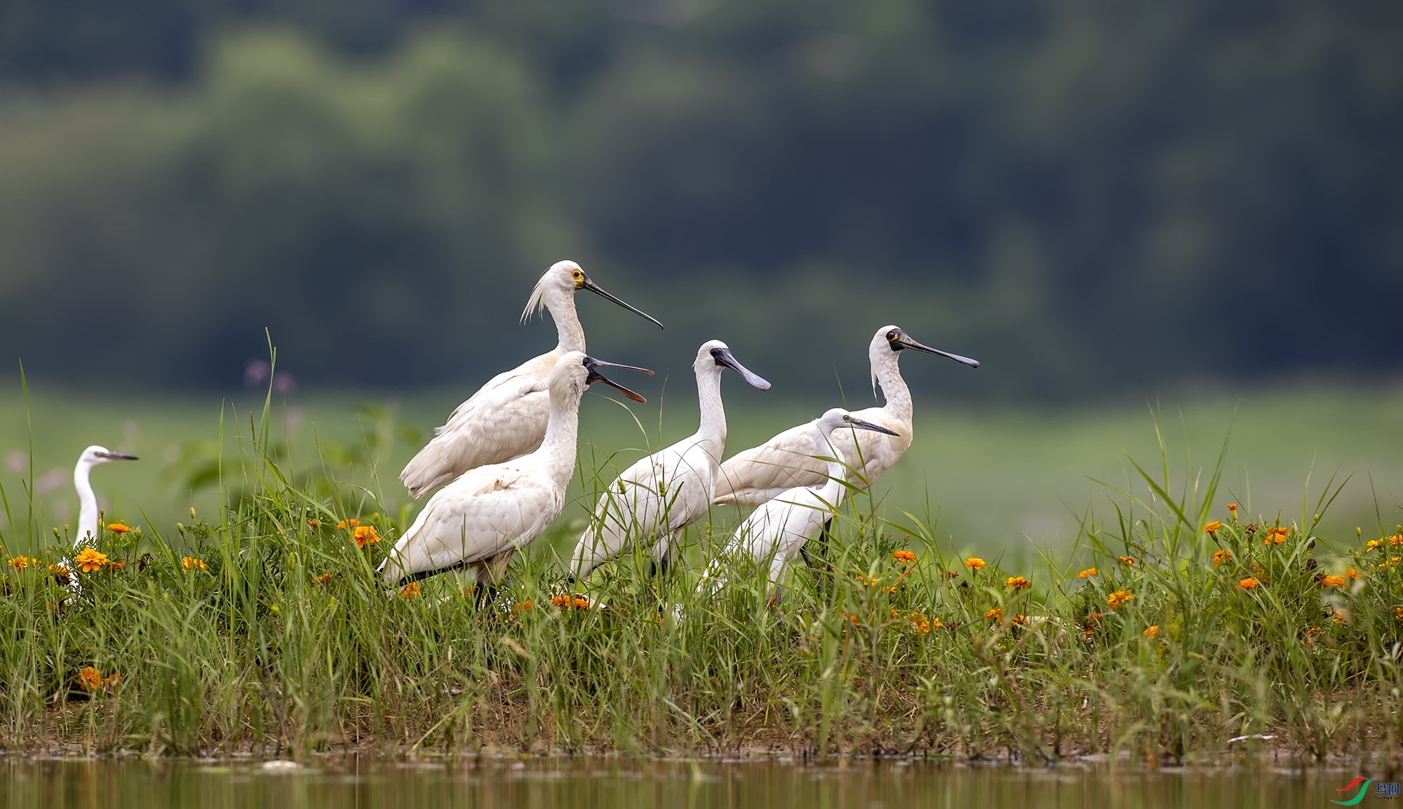 ��������