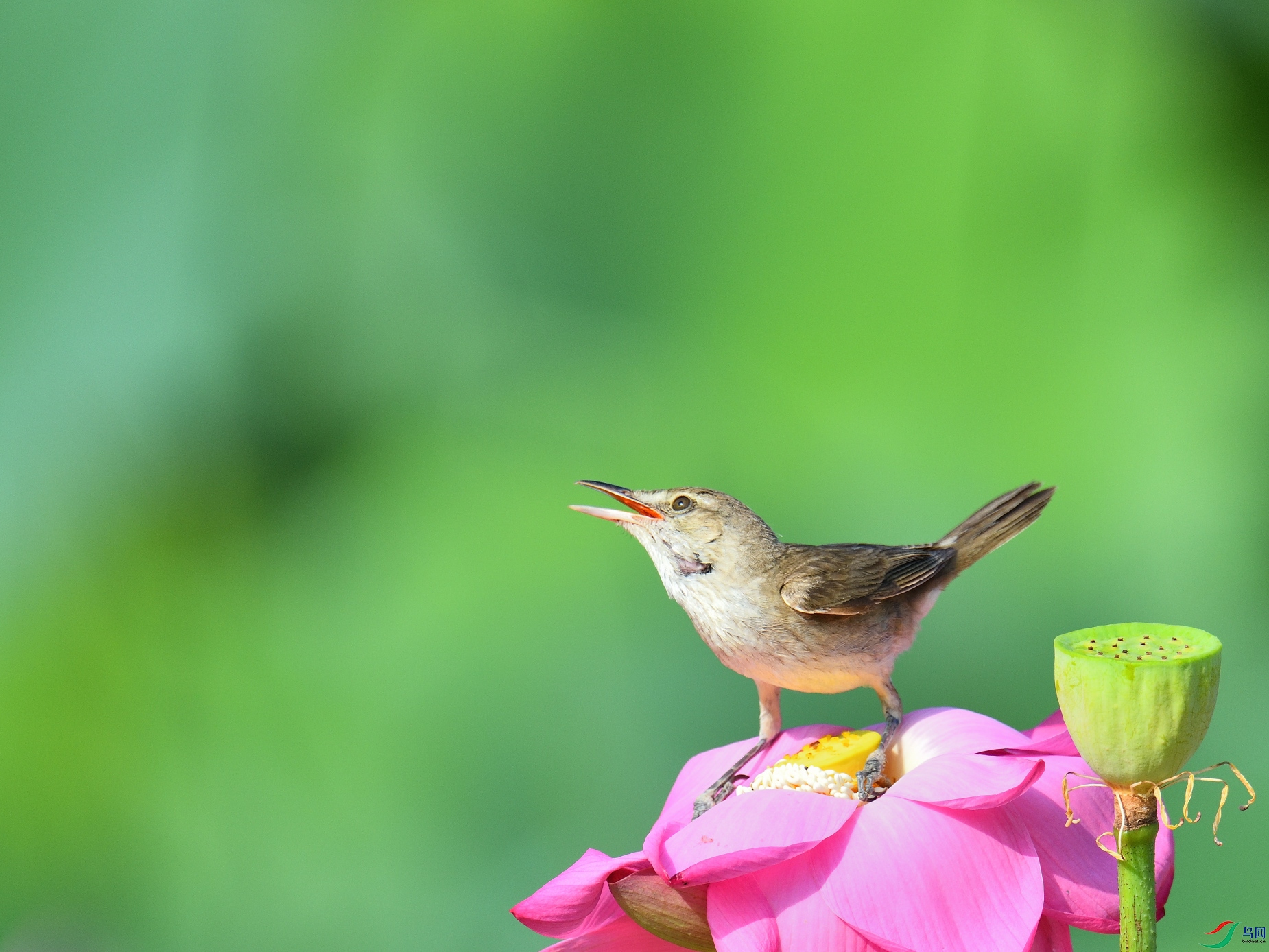 DSC_4064.JPG