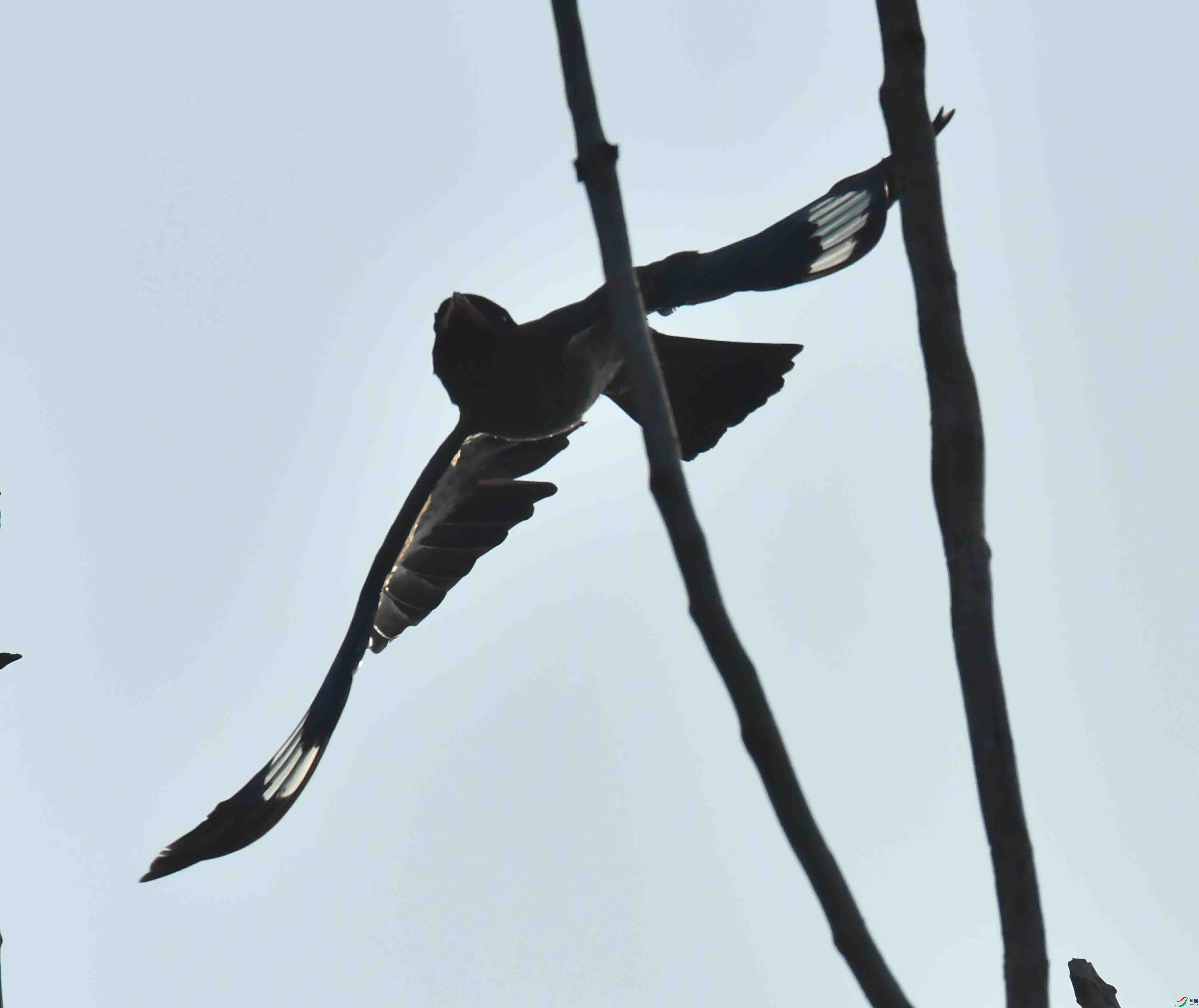 DSC_3499.JPG