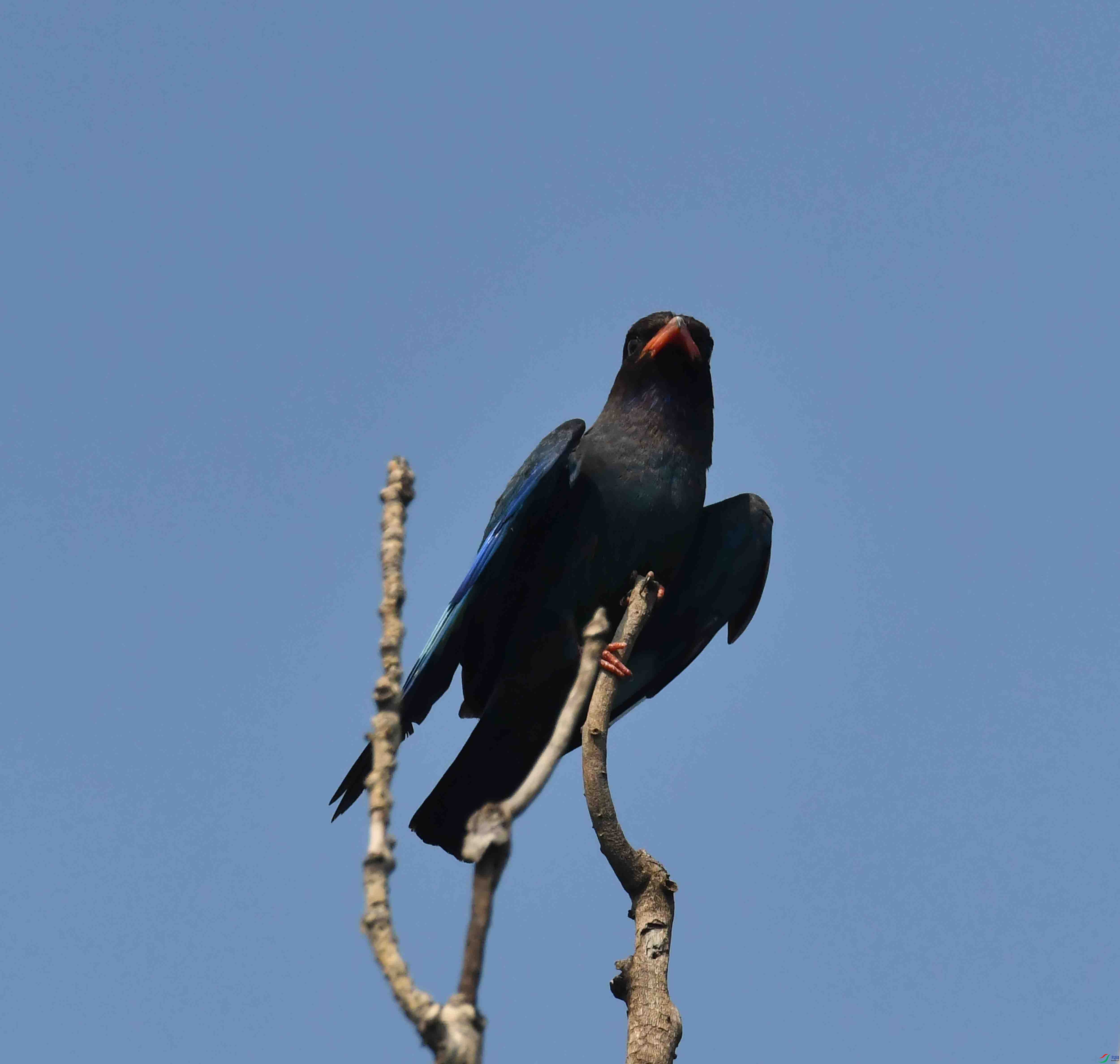 DSC_4070.JPG