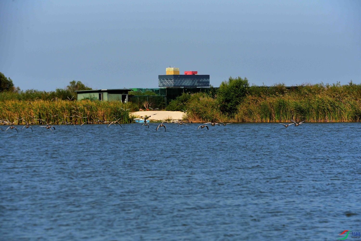 DSC_6839.JPG