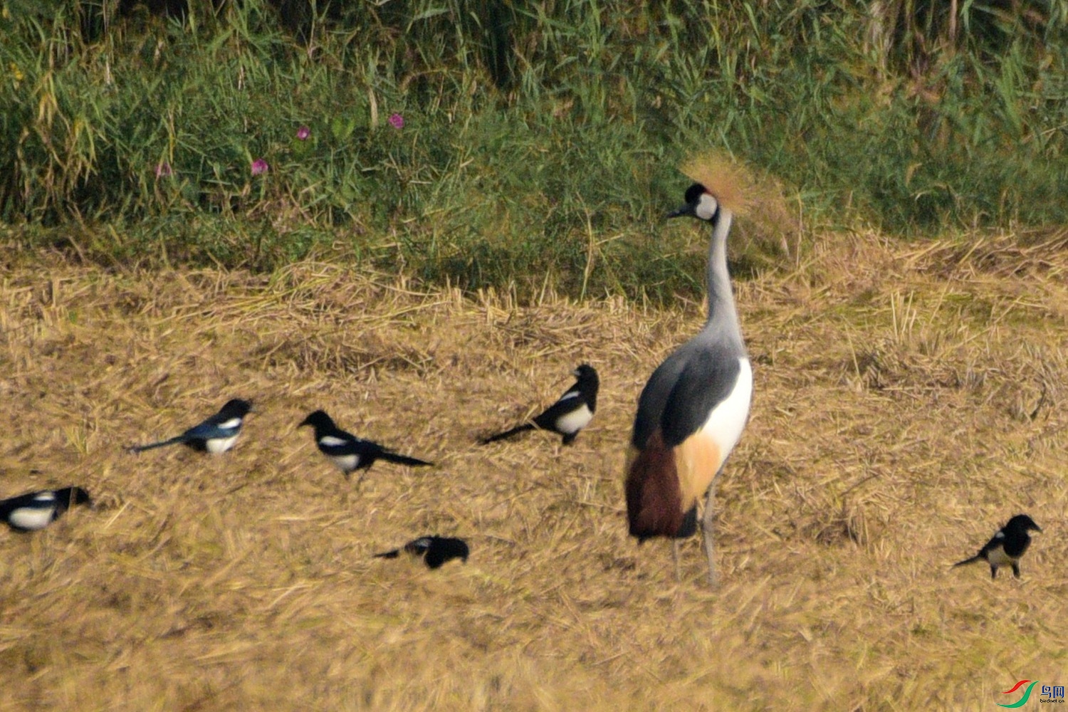 DSC_7351.JPG