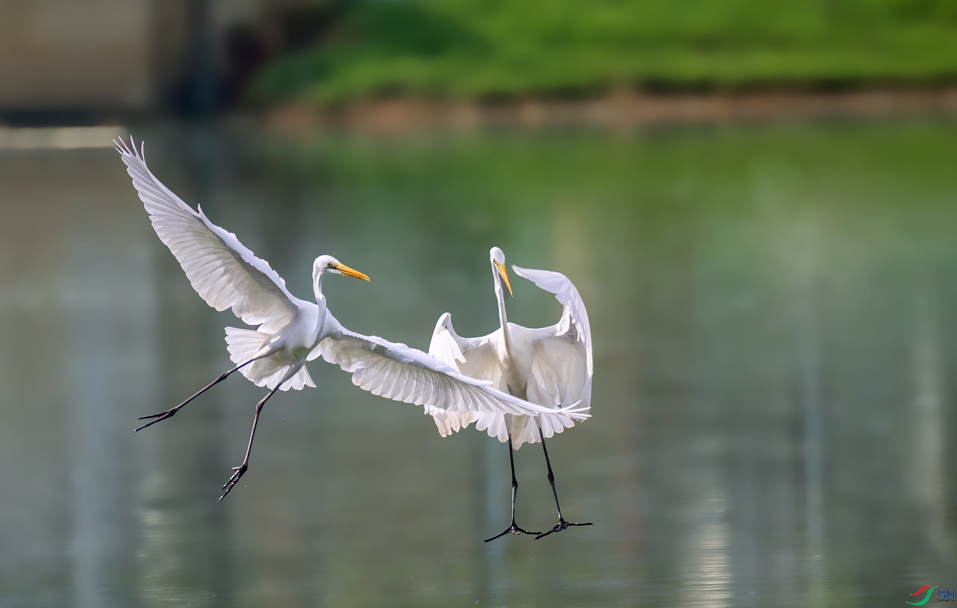 407A1207 ����-Sha-----1 .jpg