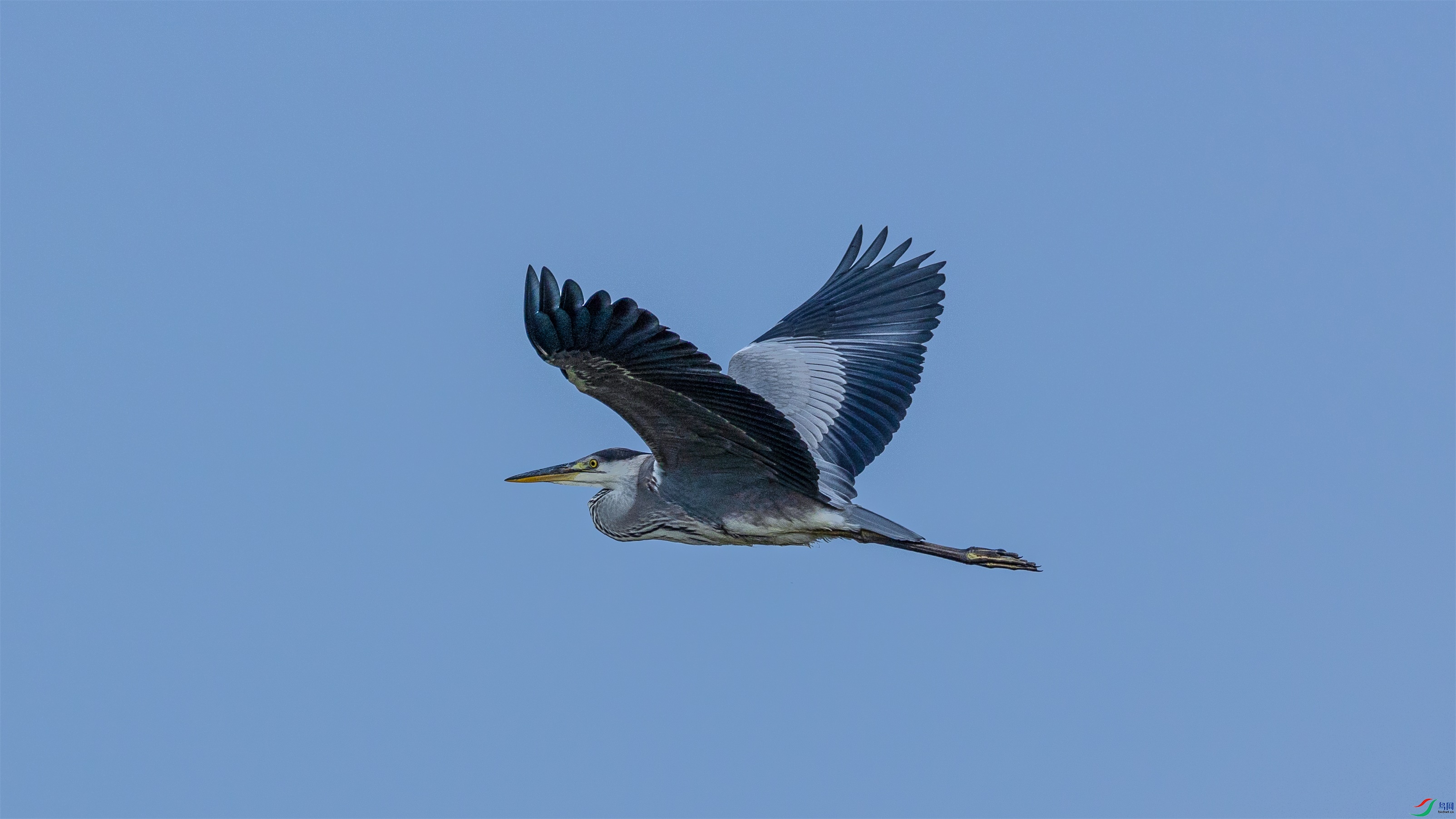 1K3A1688 ����1.jpg