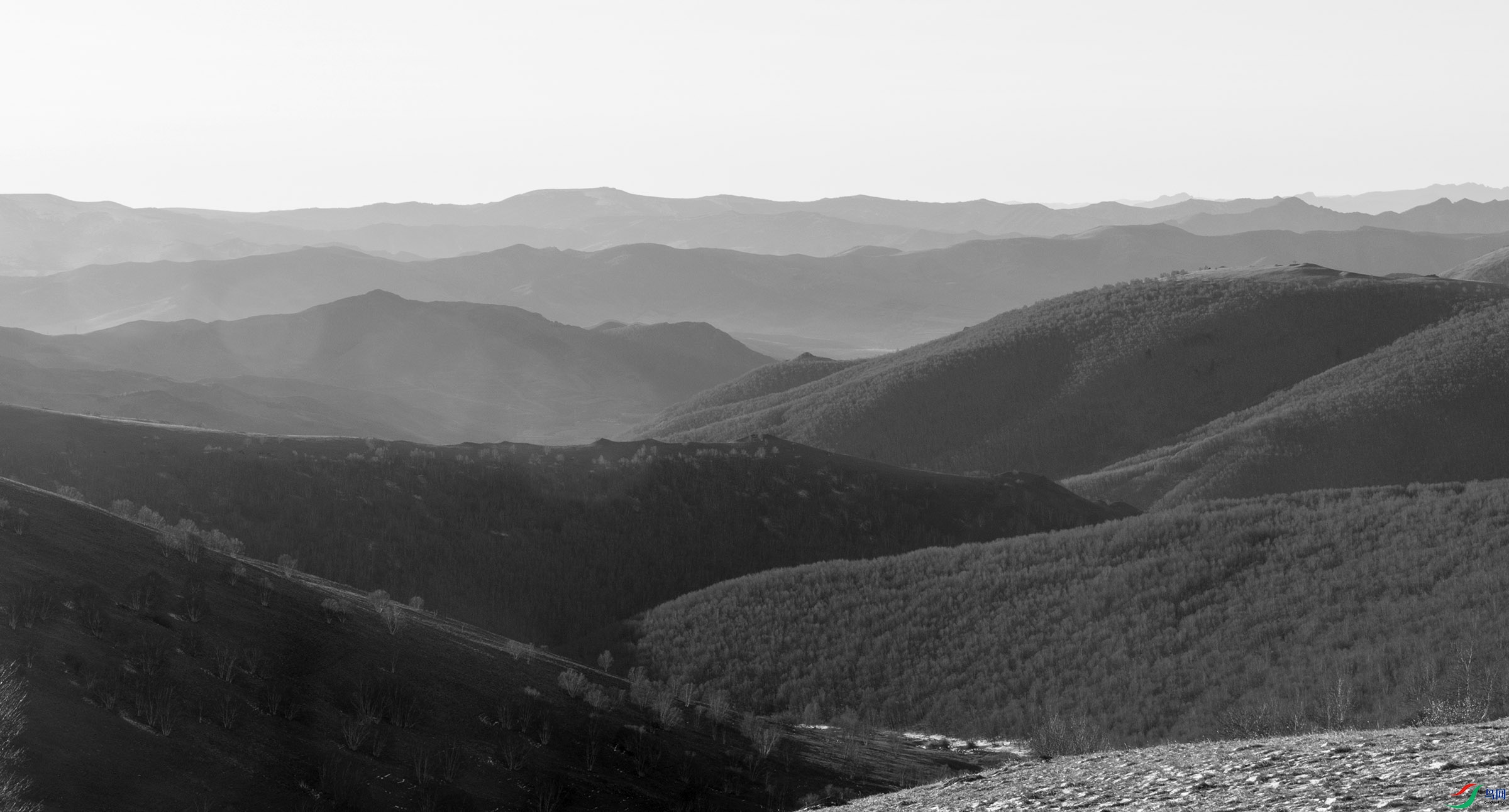 _DSC6351.jpg