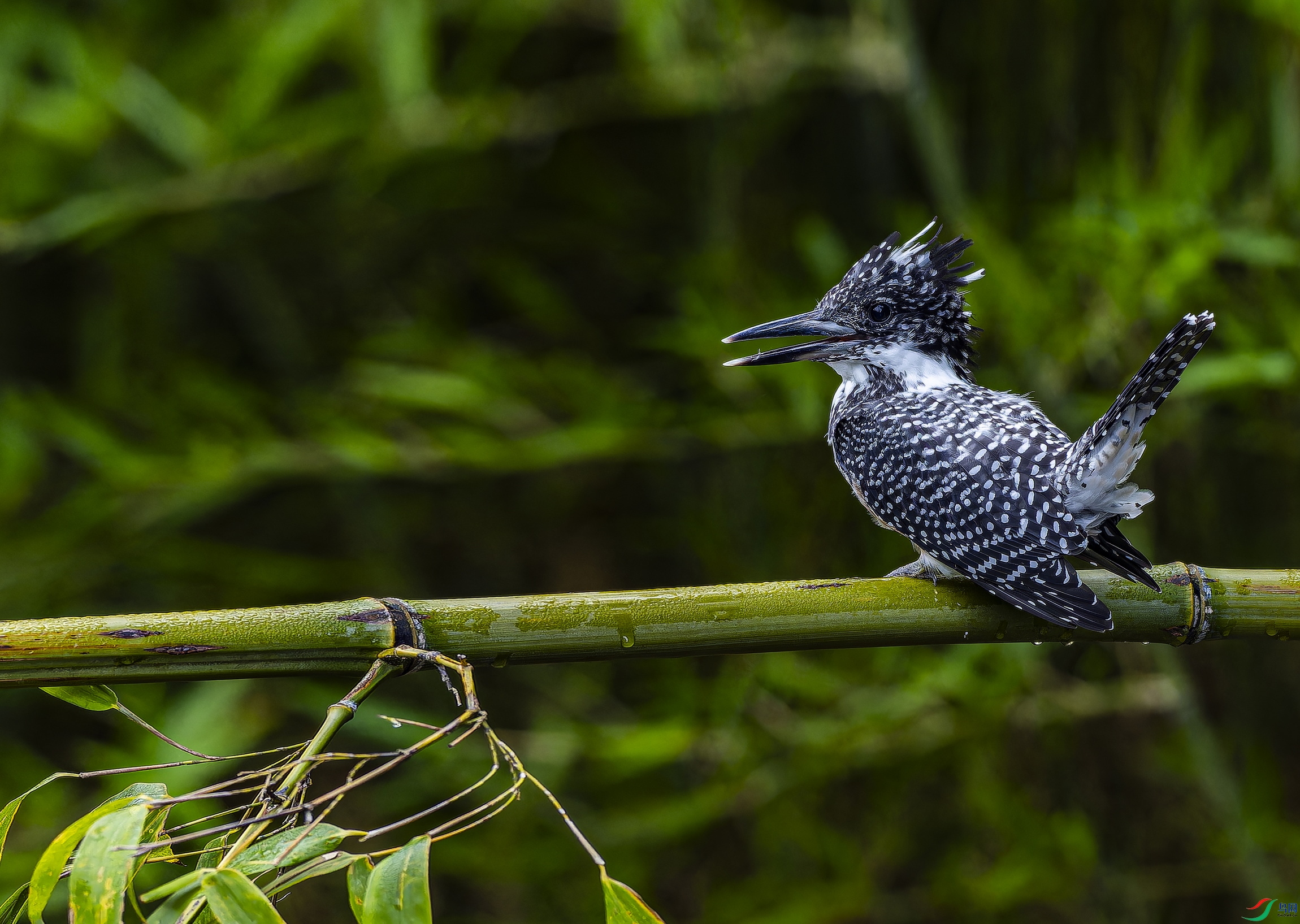 ���㹷  (2)-1.jpg