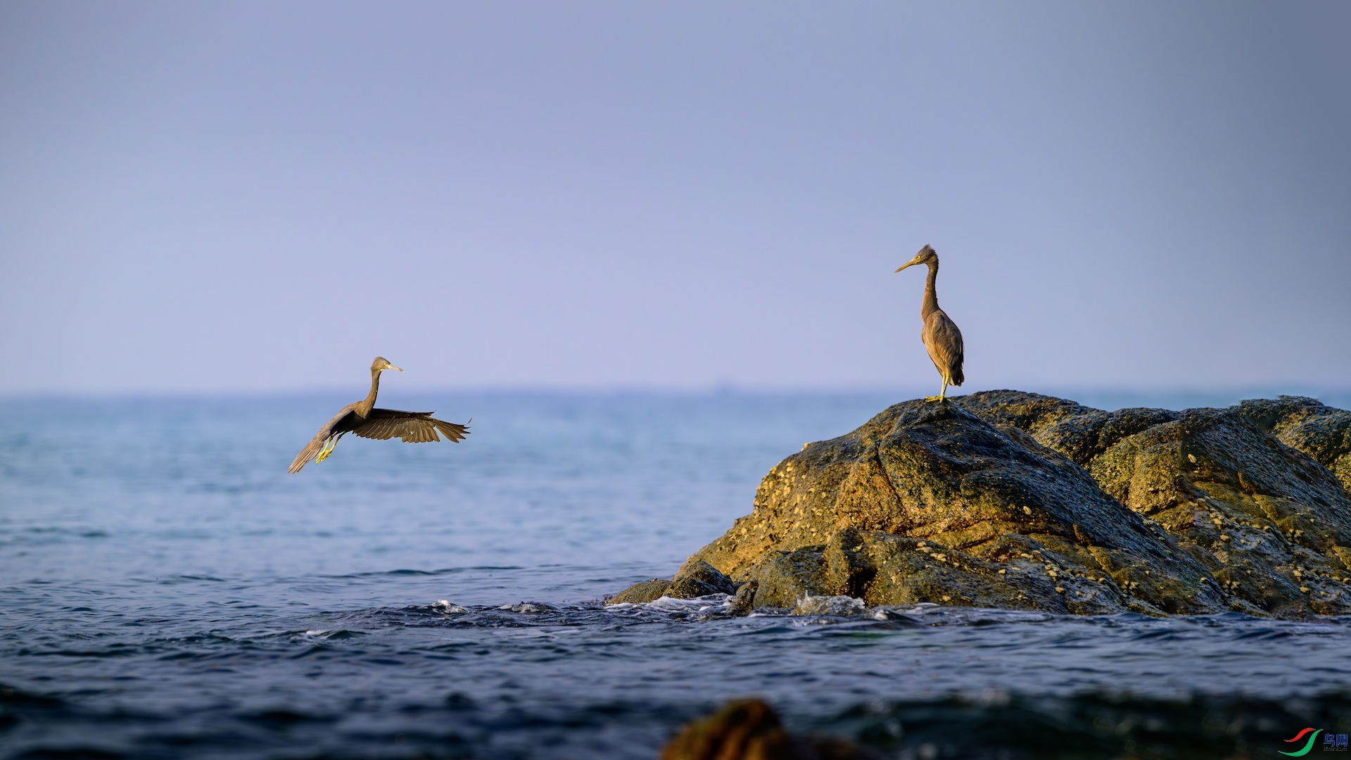 31_XXL8606-����ǿ-NR ����.jpg1.jpeg