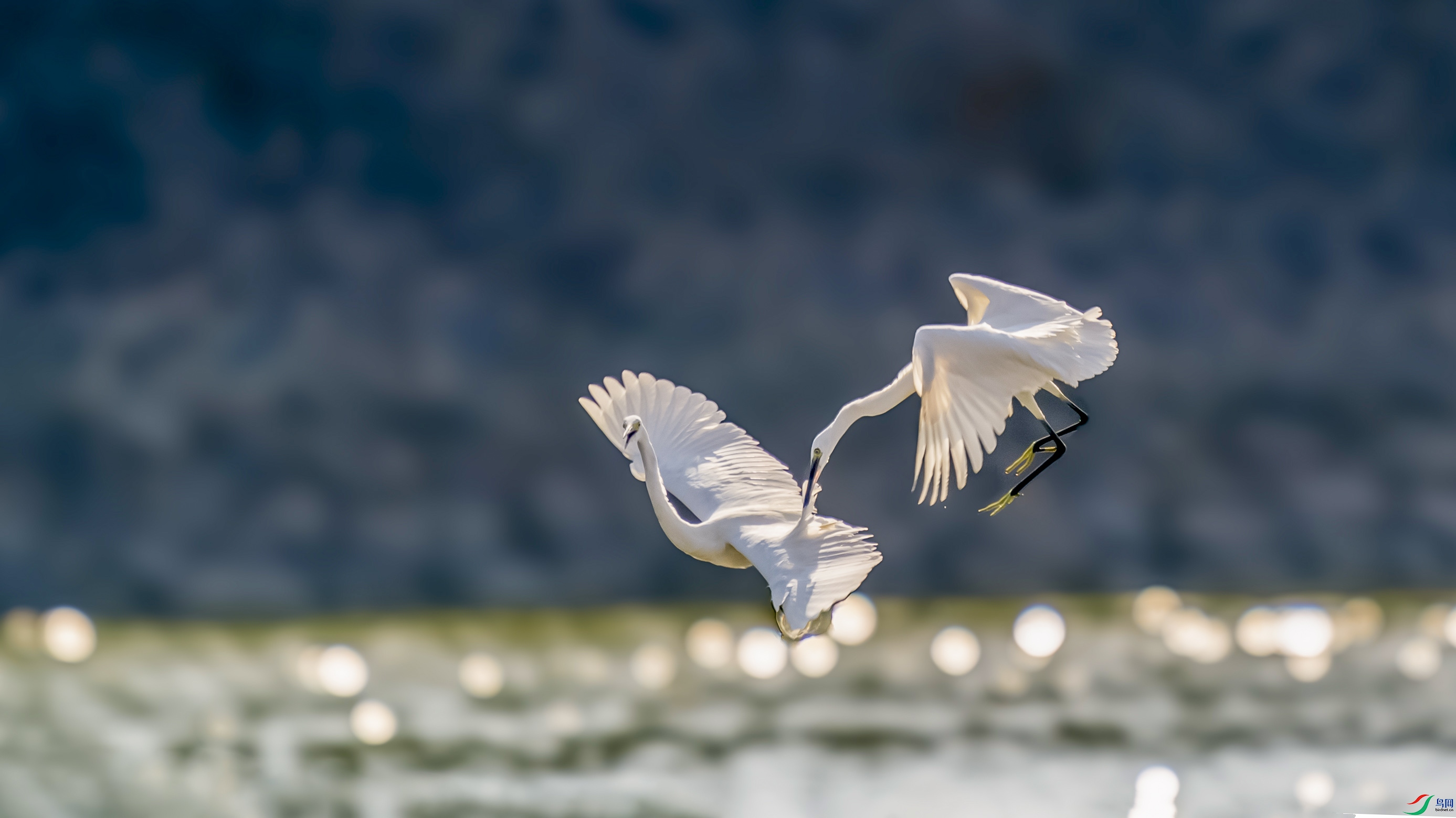 _ZZX3058 ��������.jpg