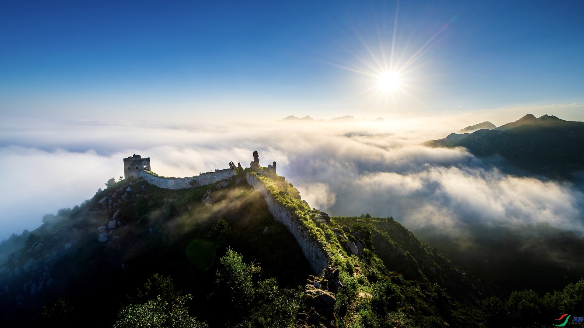 10_XXL1342-����ǿ-NR ���� 3 2.jpeg