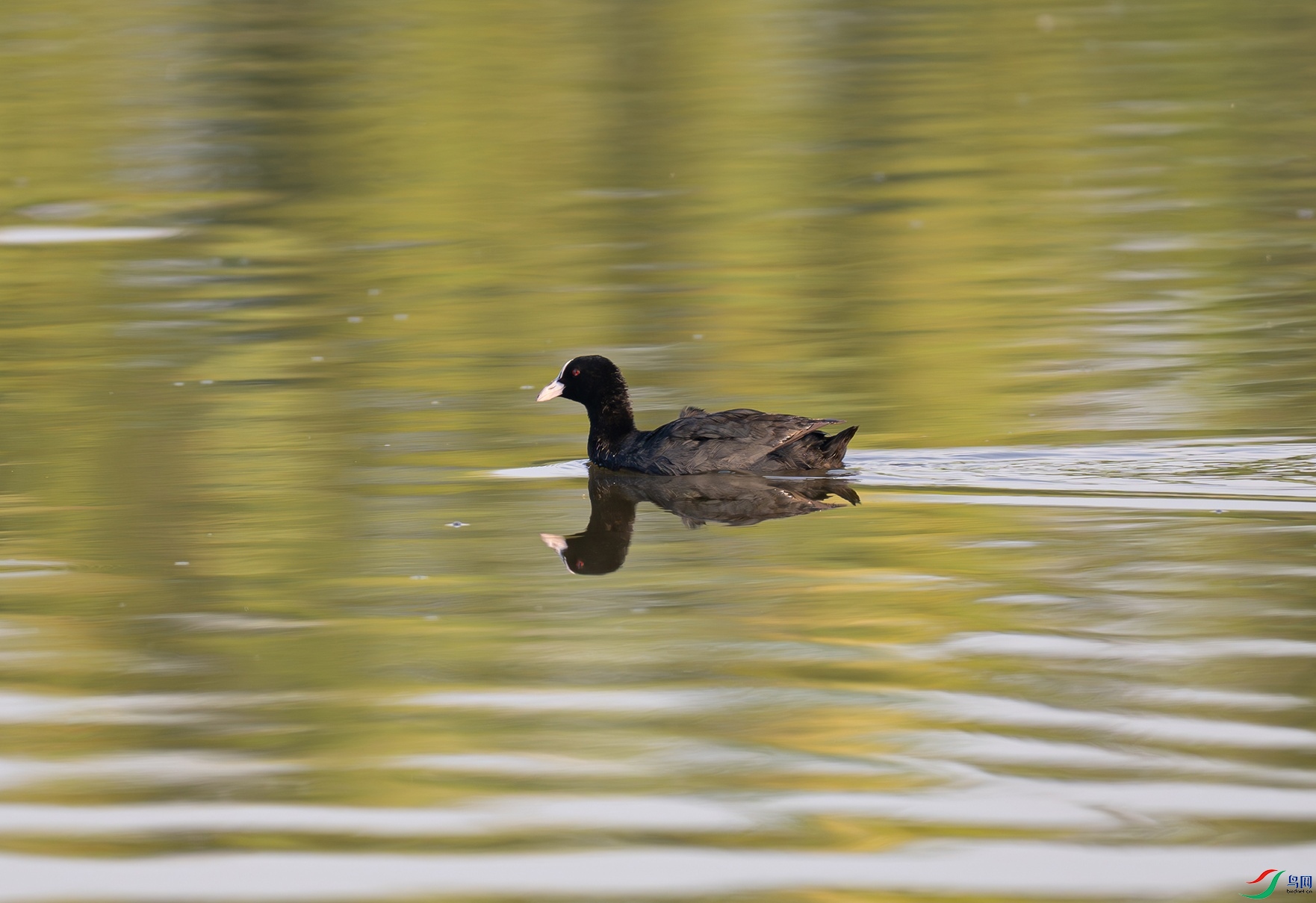 _DSC4583f.jpg