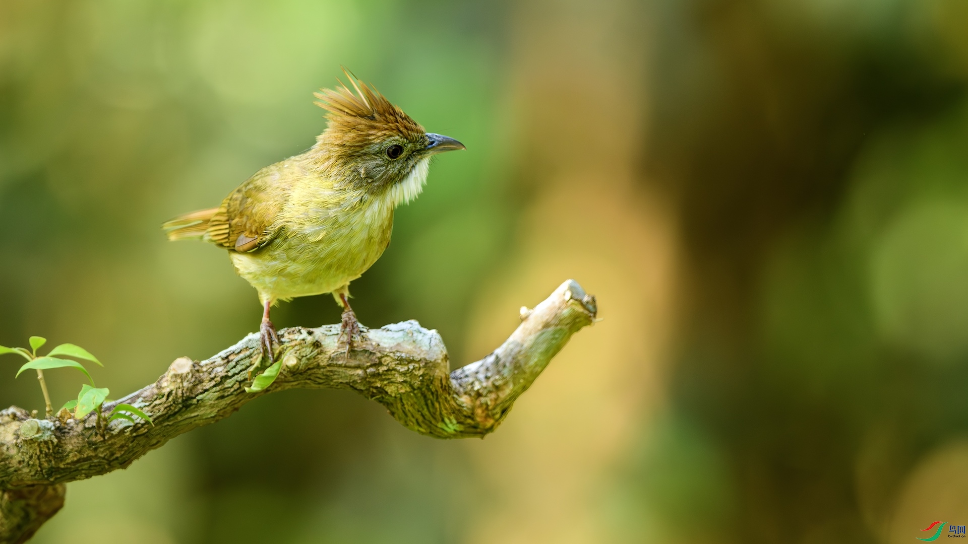 1_DSC0647-����ǿ-NR �����ĸ���.jpeg