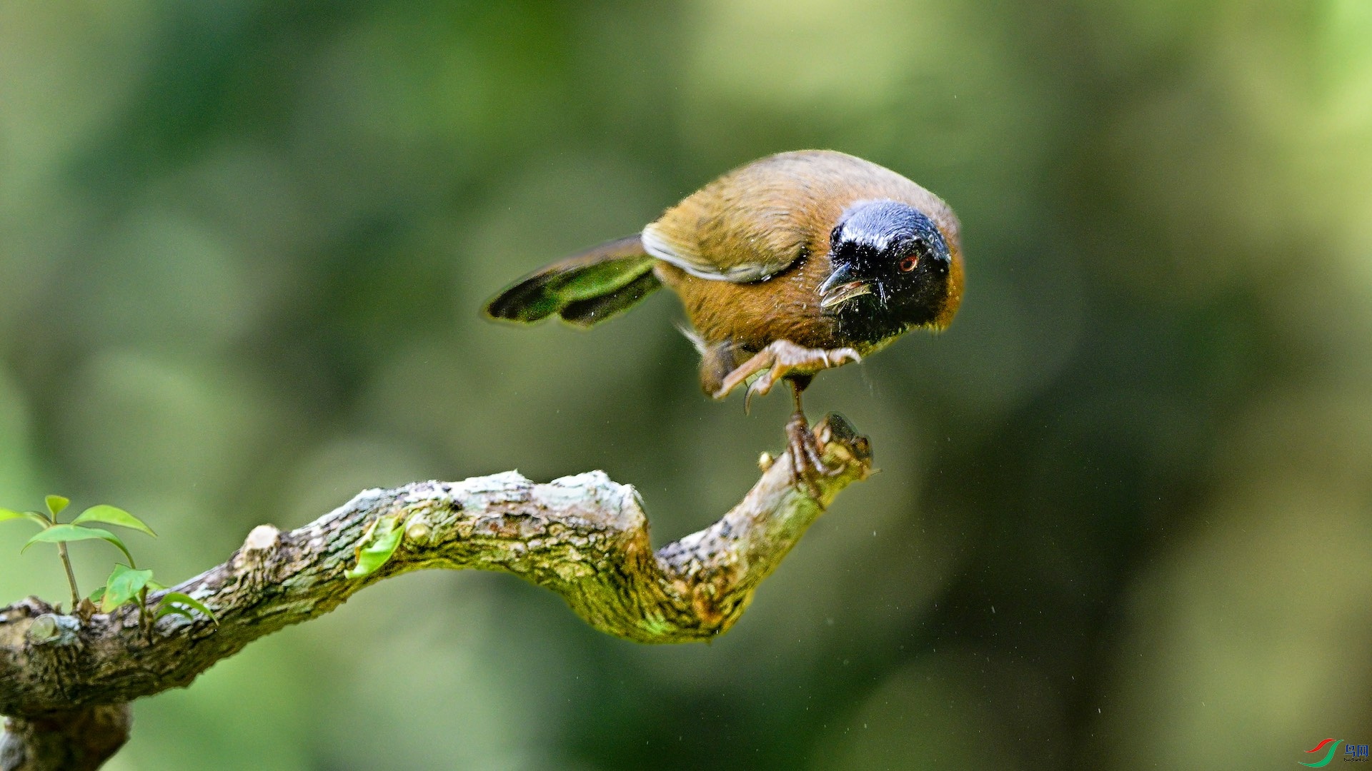 1_DSC0995 �����ĸ���2.jpeg