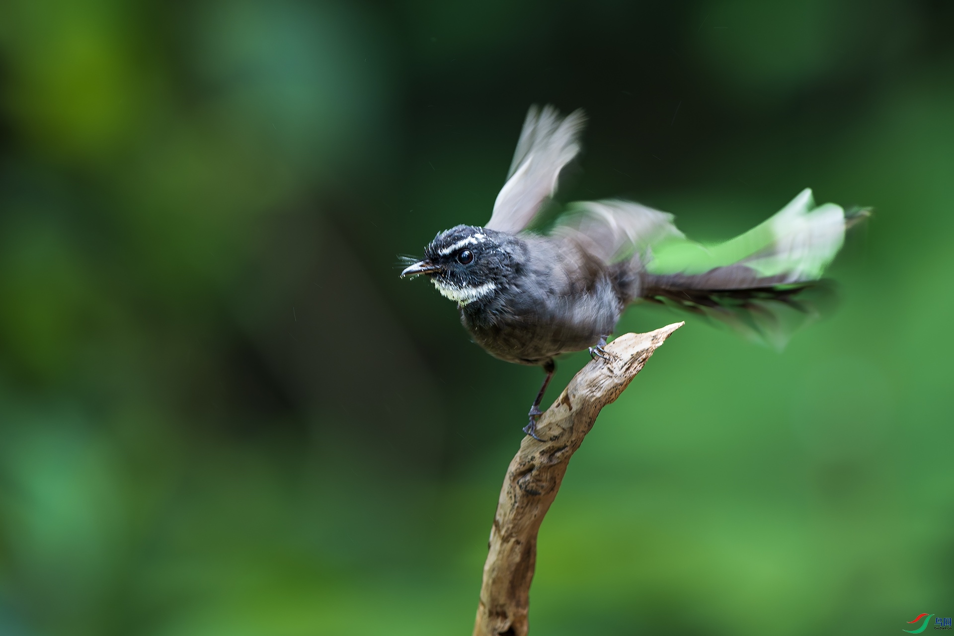 1_XXL7624-����ǿ-NR ����.jpeg