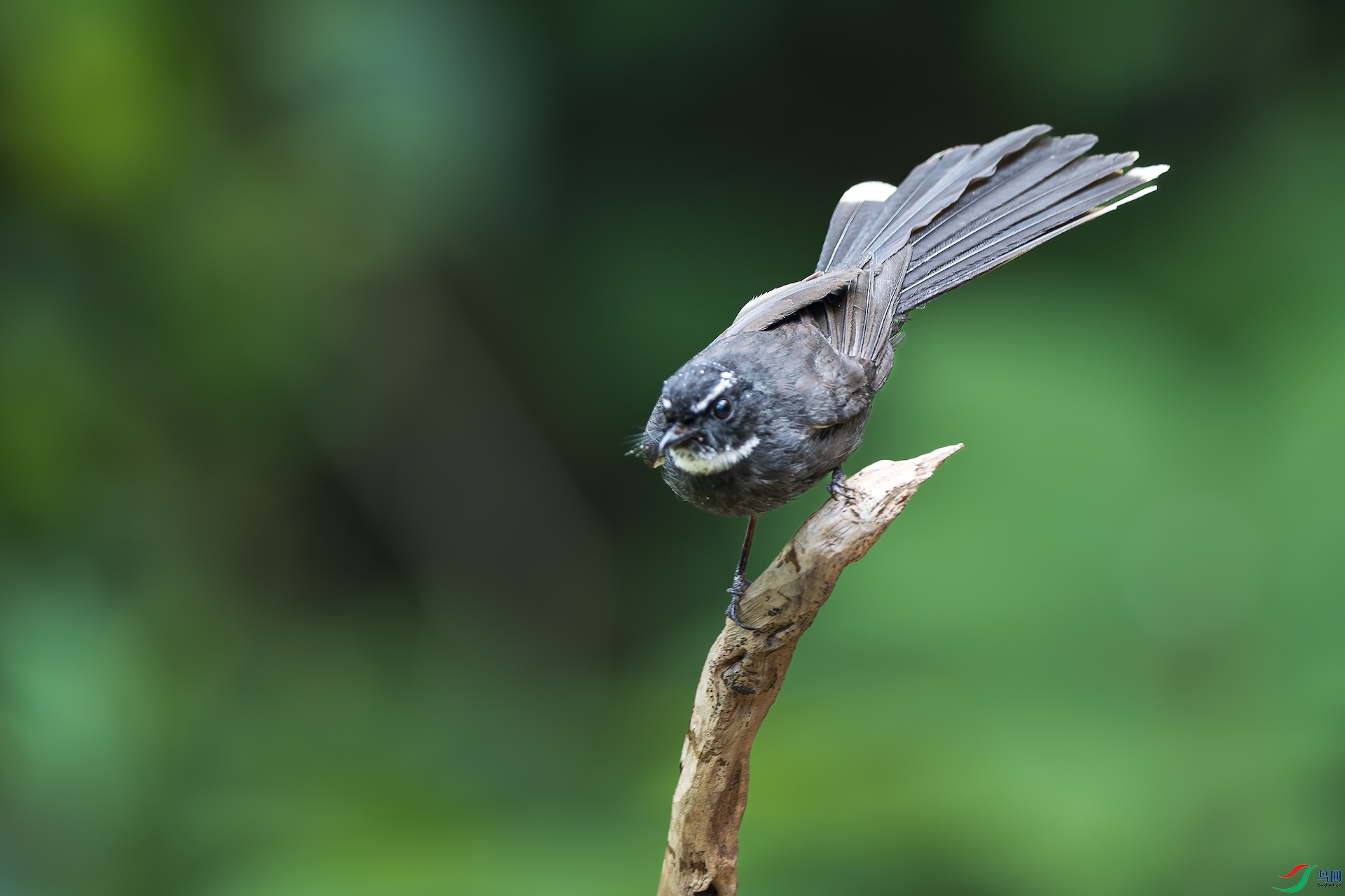 1_XXL7643-����ǿ-NR ����.jpeg