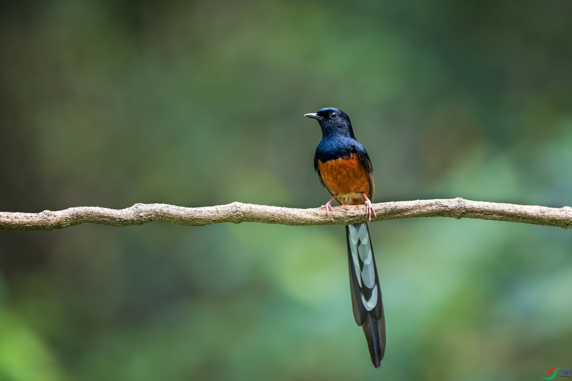 1_XXL7935-����ǿ-NR ����.jpeg