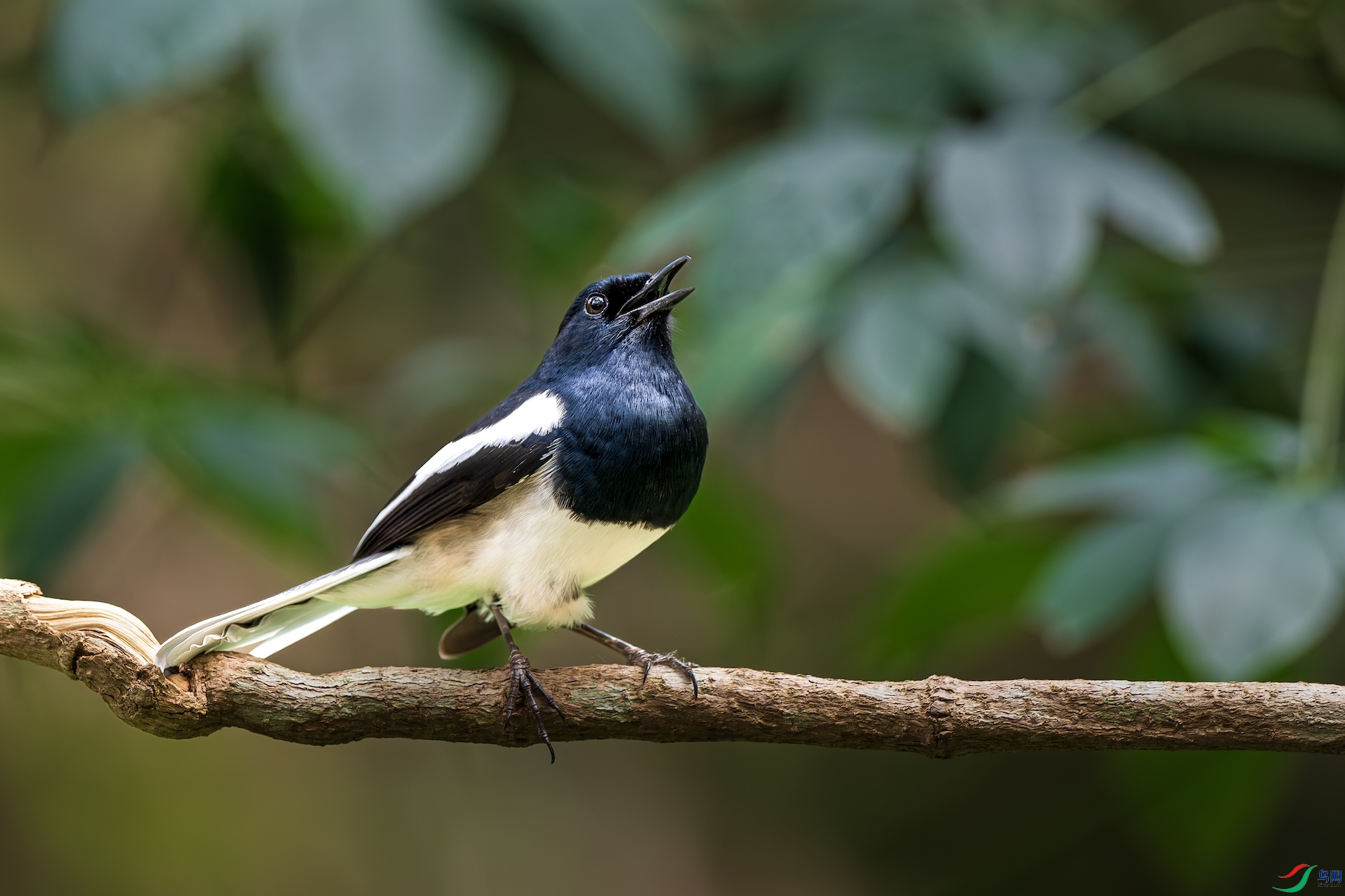 1_XXL7949-����ǿ-NR ����.jpeg