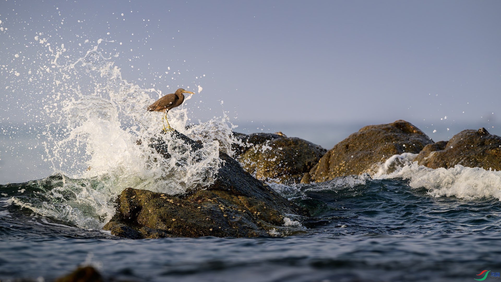 1_XXL9028-����ǿ-NR ����.jpeg