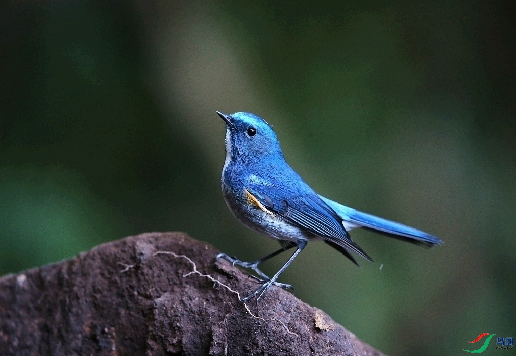 ���� IMGL1719.JPG