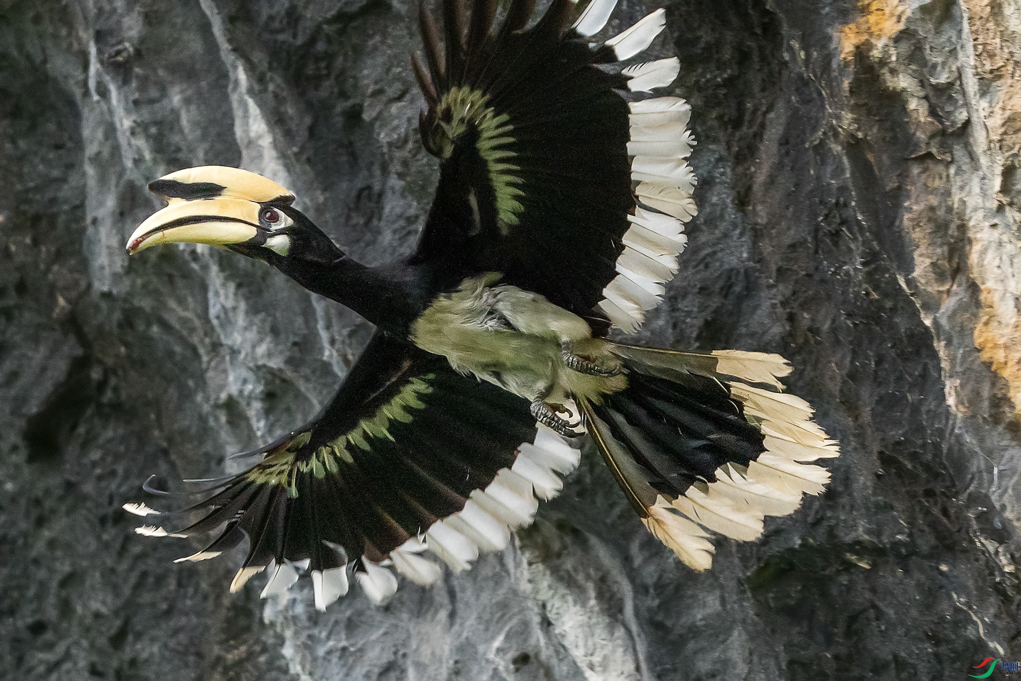 DSC08532 ����a ����.jpg