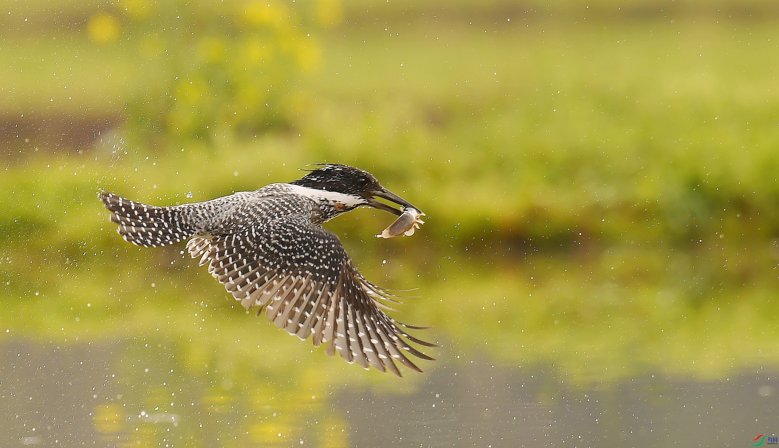DSC_5651_����.jpg