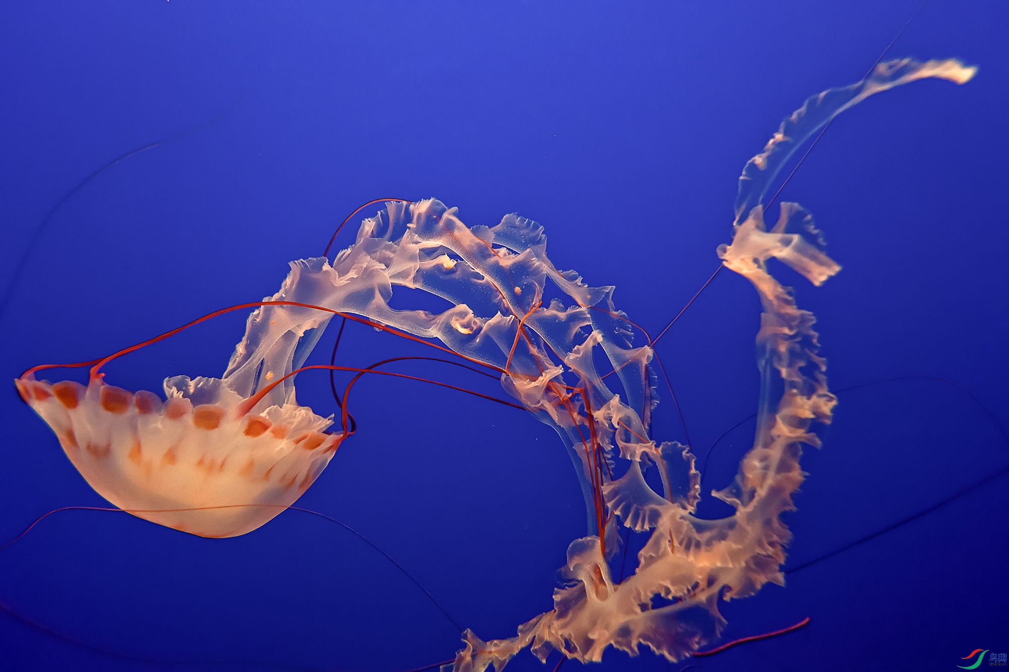 ��7810a ����1111111111.jpg