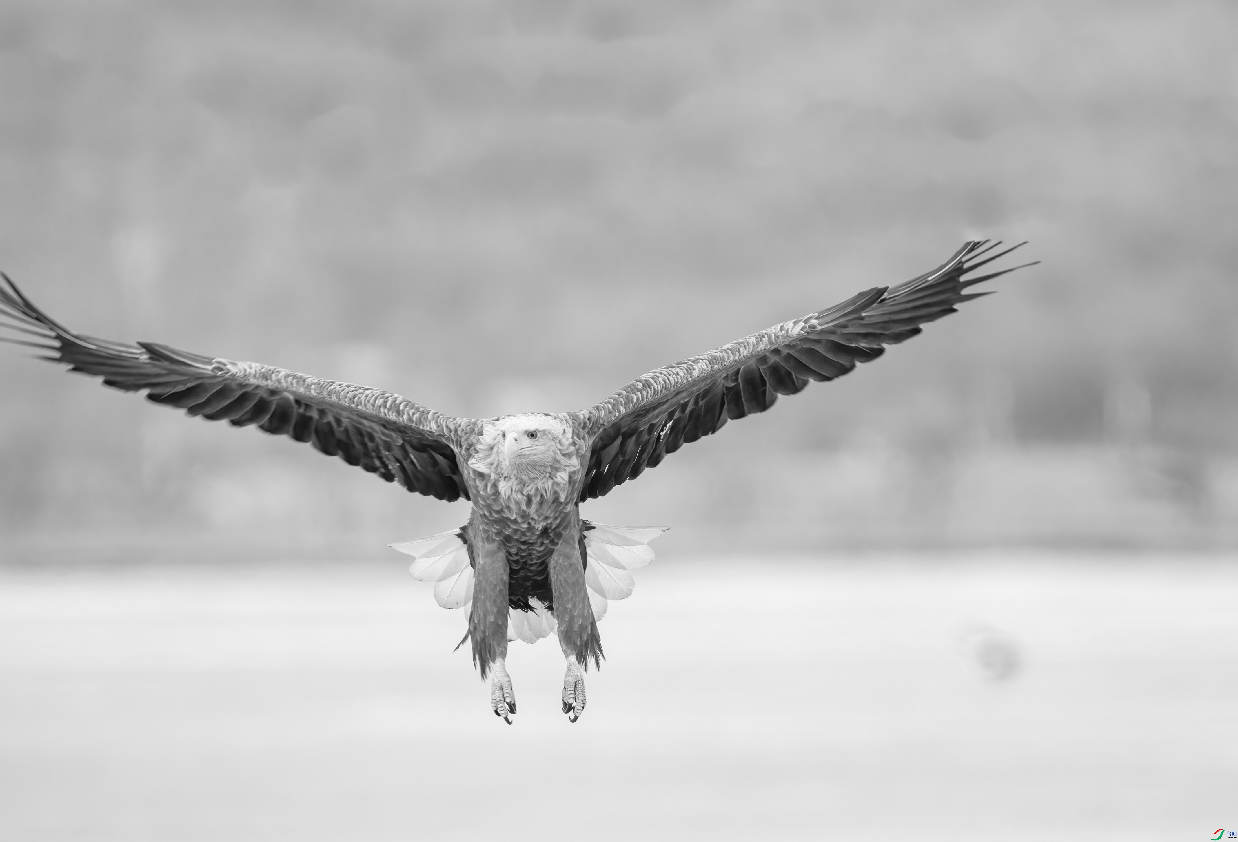 DSC07573 (2) ����.jpg