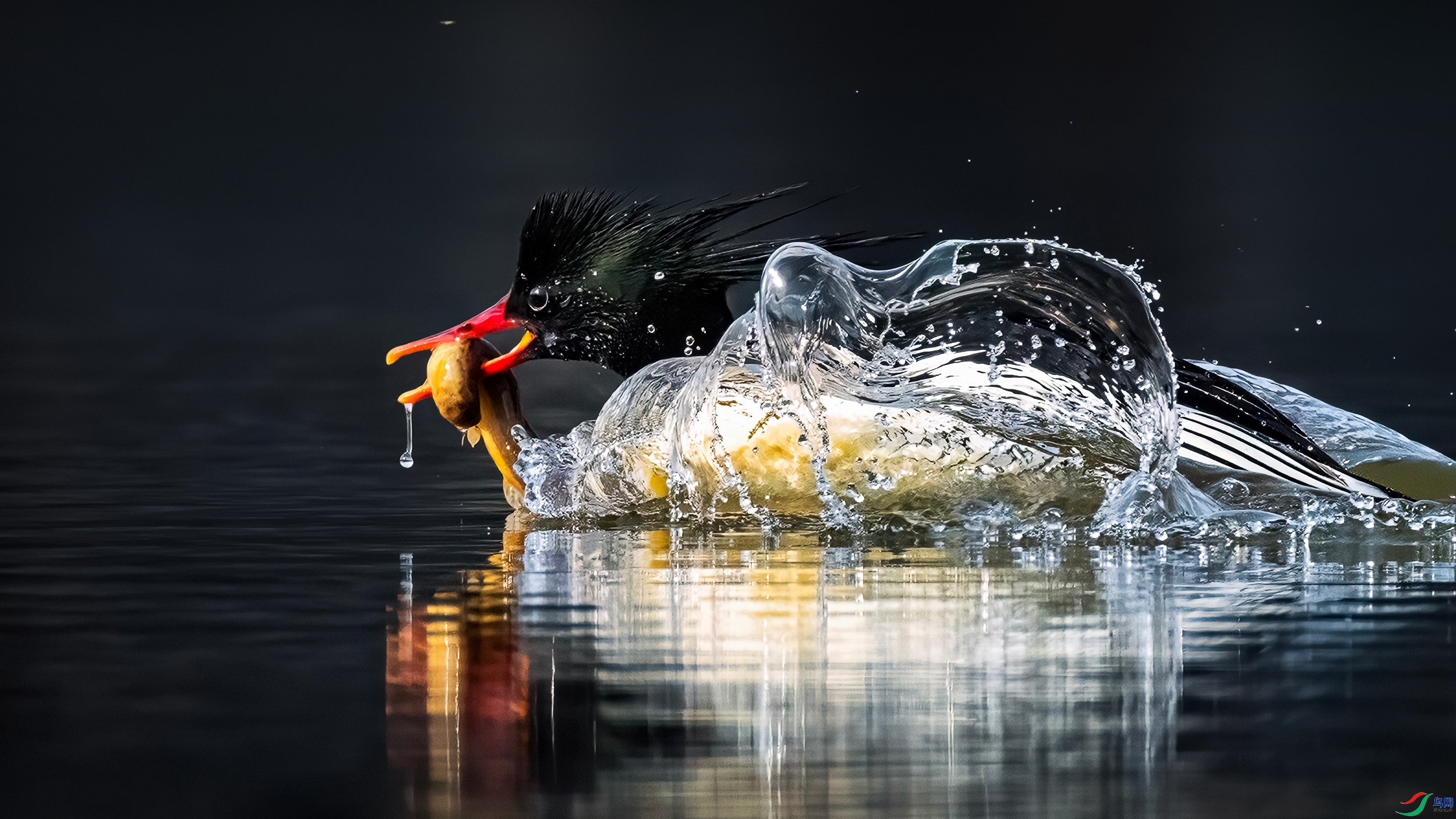 7.30 Hsia��ʦ��Ʒ  ��������  �ٻ�2024��7��30��ÿ�ռ���.jpg