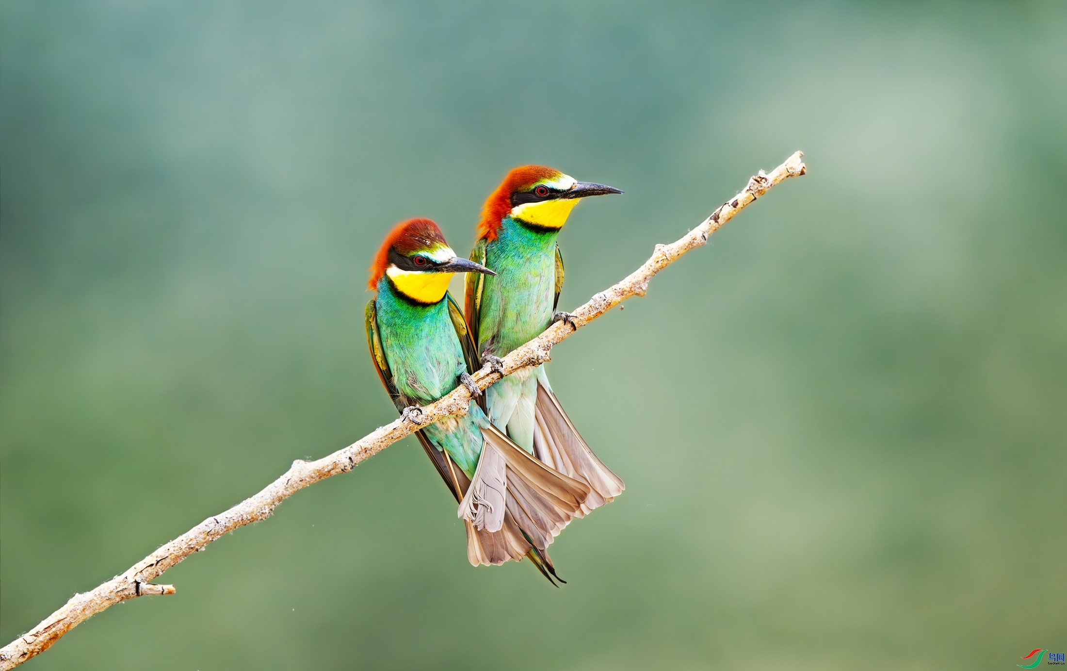 7.31 ����������ʦ��Ʒ  ����  �ٻ�2024��7��31��ÿ�ռ���.jpg