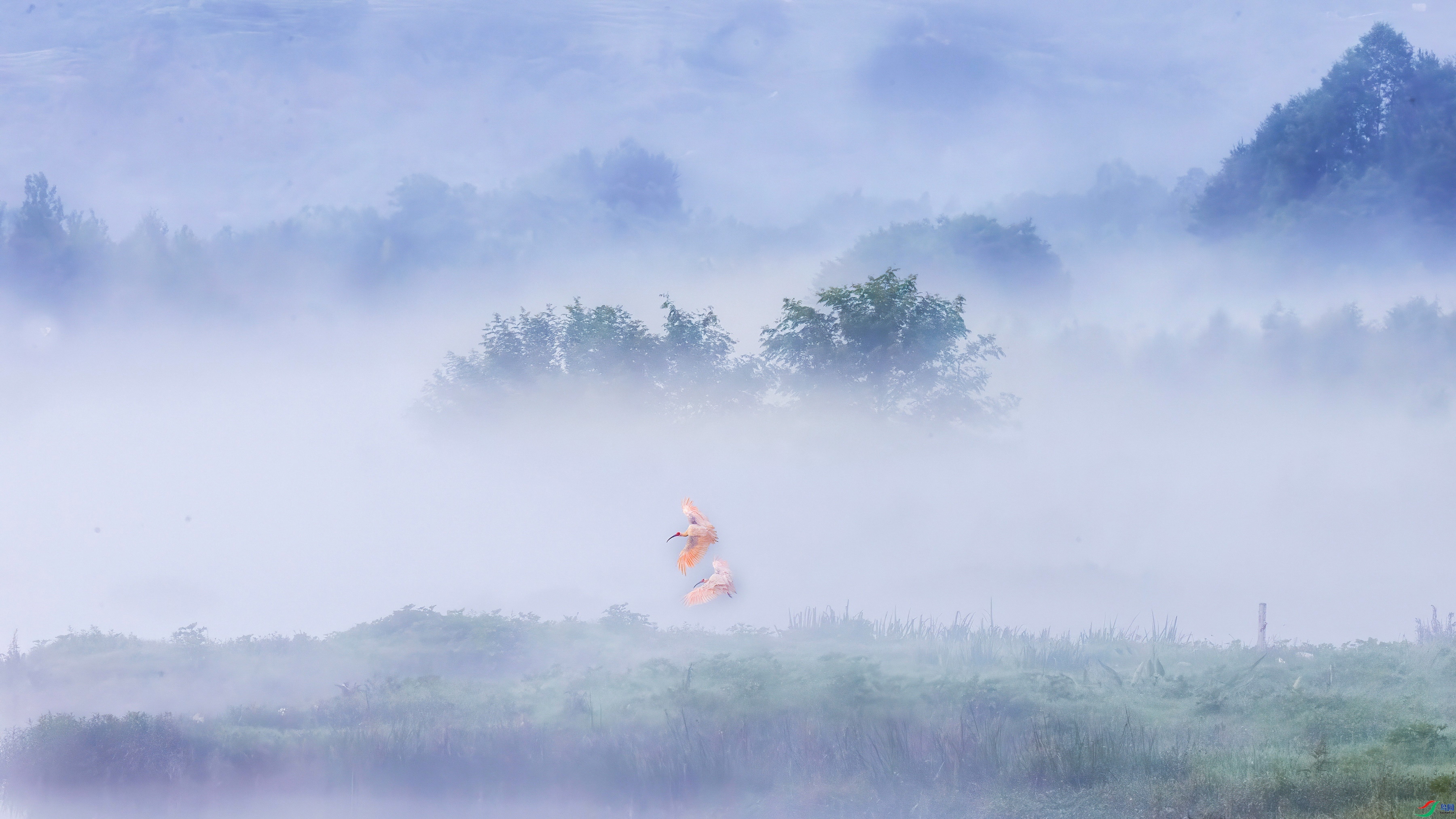 8.1 ��׼��ʦ��Ʒ  ׹���ɾ�  �ٻ�2024��8��1��ÿ�ռ���.jpg