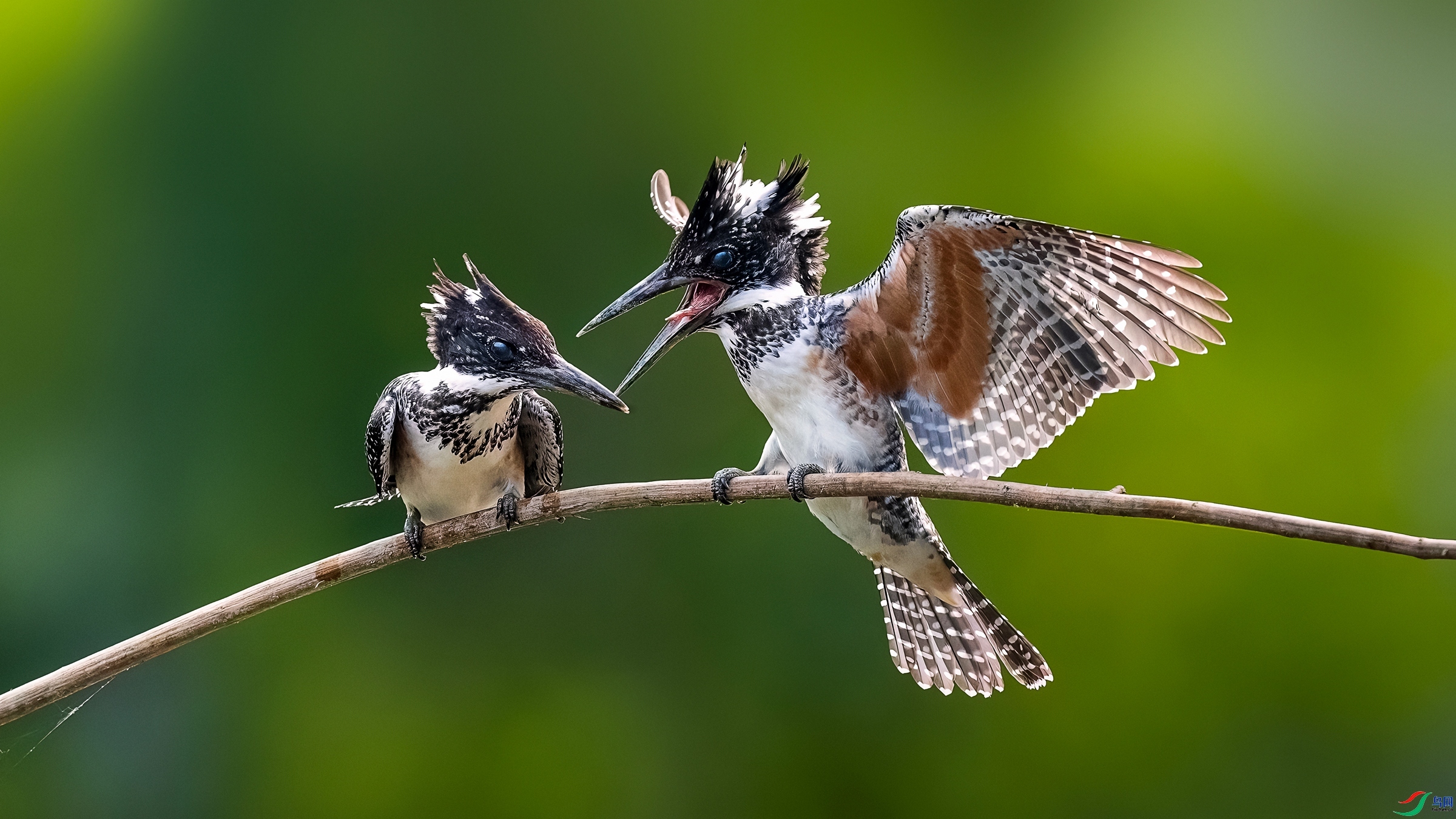 7.29 Hsia��ʦ��Ʒ  ������  �ٻ�2024��7��29�հ�����ҳ����.jpg