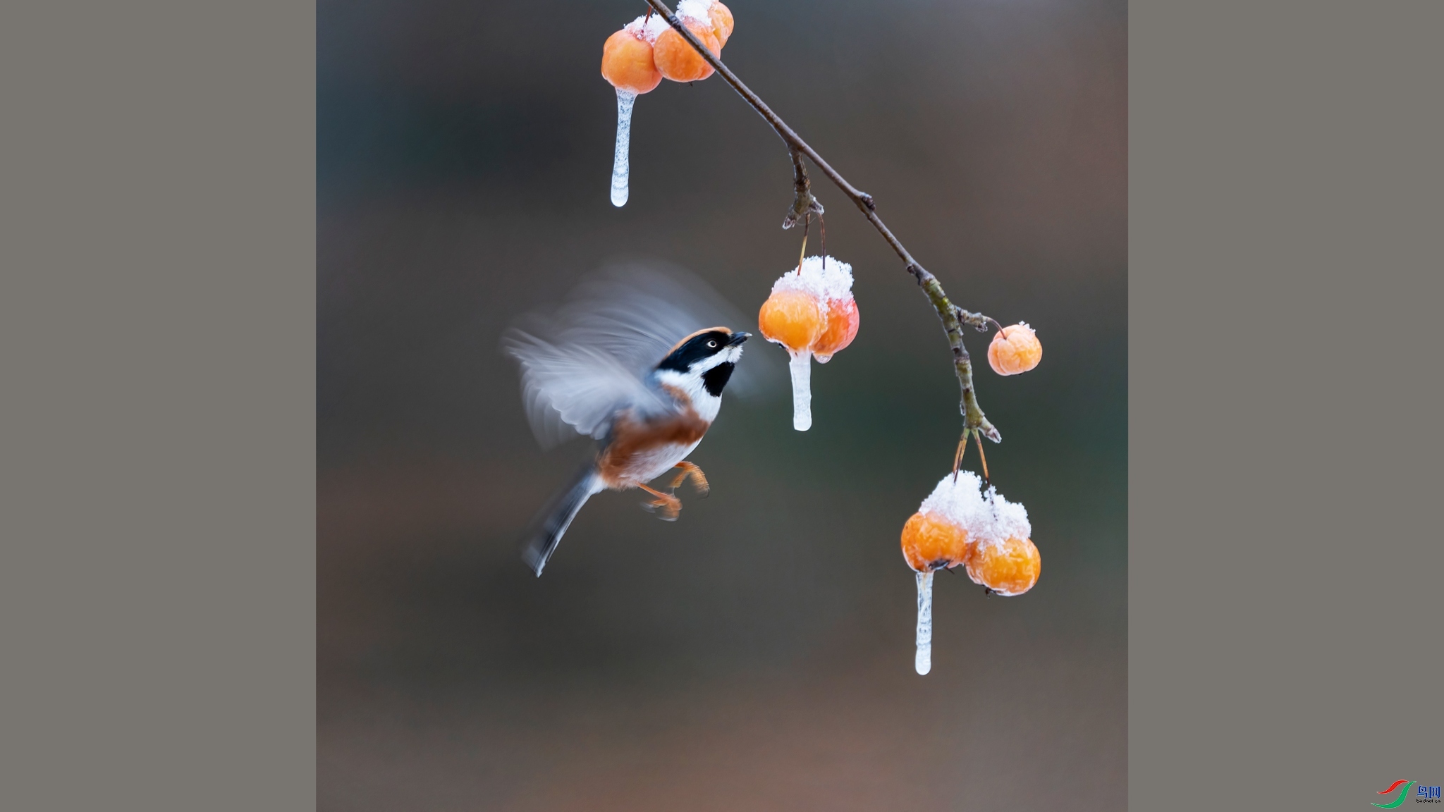 7.29 ��������ʦ��Ʒ С��ͷ  �ٻ�2024��7��29��������ҳ����.jpg