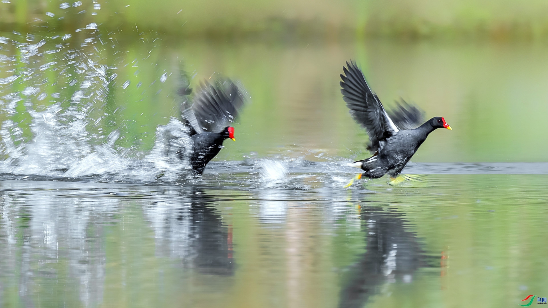 7.29 ��ı�Ե��ʦ��Ʒ  ��ˮ��  �ٻ�2024��7��29��������ҳ����.jpg