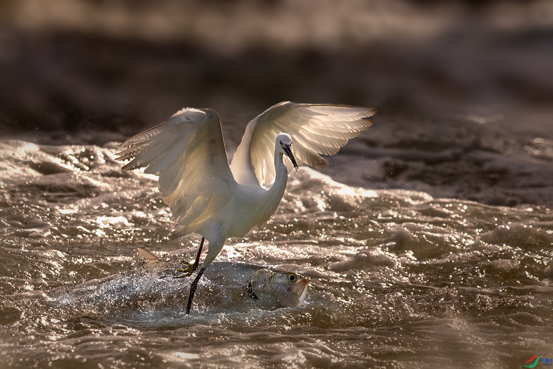 7.29 ����ī��ʦ��Ʒ  ������ʳ  �ٻ�2024��7��29��������ҳ����.jpg