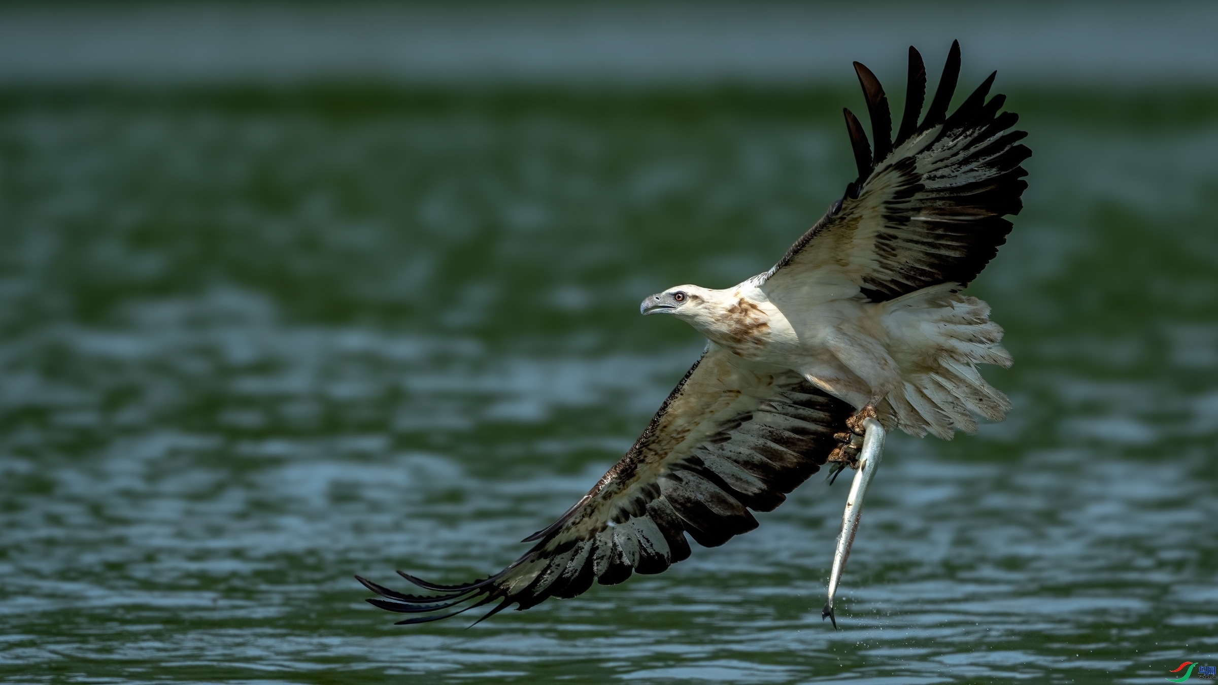 7.30 �����ʦ��Ʒ  ���ض���  �ٻ�2024��7��30����Ӱʦ��ҳ����.jpg