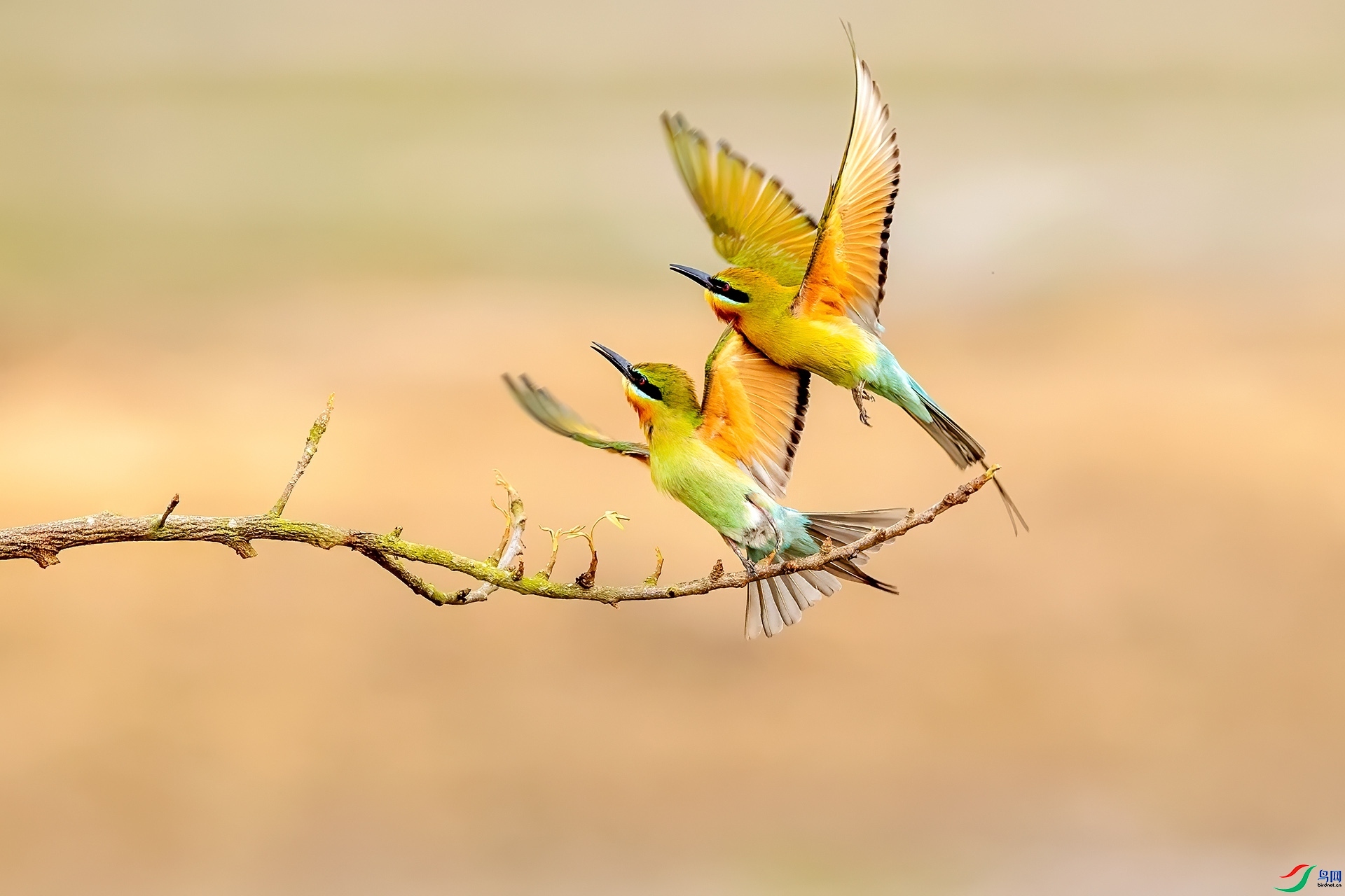 7.30 �ɵ���ʦ��Ʒ  �����ڷ�  �ٻ�2024��7��30����Ӱʦ��ҳ����.jpg